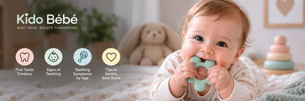 Baby soothing sore gums with a teether, highlighting the teething stage and early tooth development.