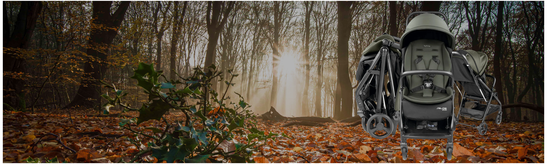 Which Stroller Should You Choose? PEG PEREGO Volo vs PEG PEREGO Selfie Plus