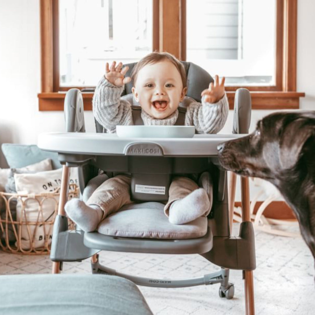 Baby sitting comfortably in the Maxi-Cosi Minla high chair, enjoying mealtime with adjustable tray and padded seat for support