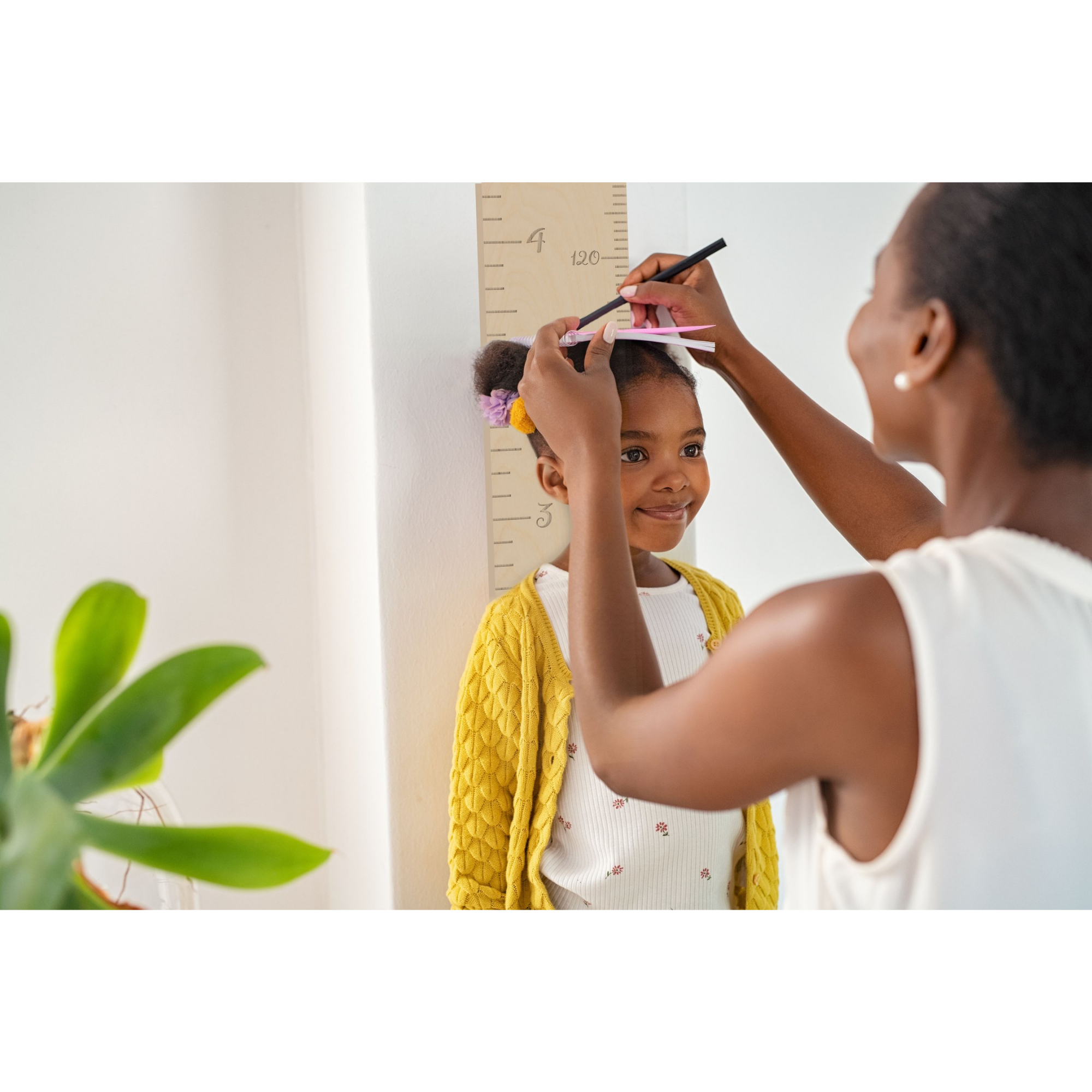 Règle de croissance ABRICOTINE - Petite