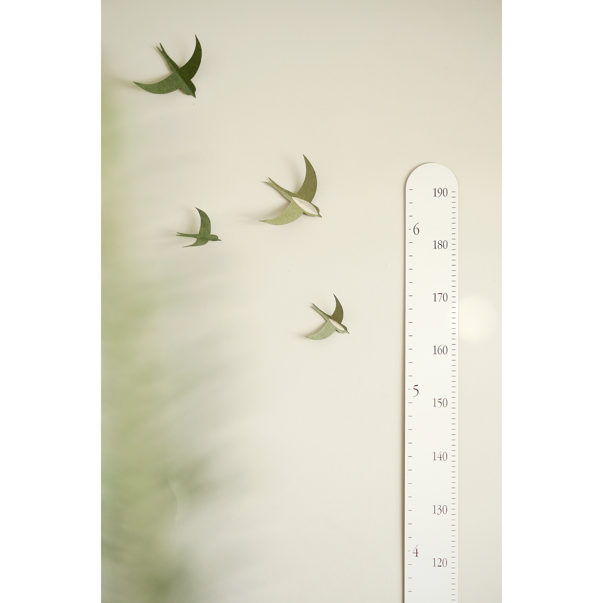 Règle de croissance ABRICOTINE - Blanc