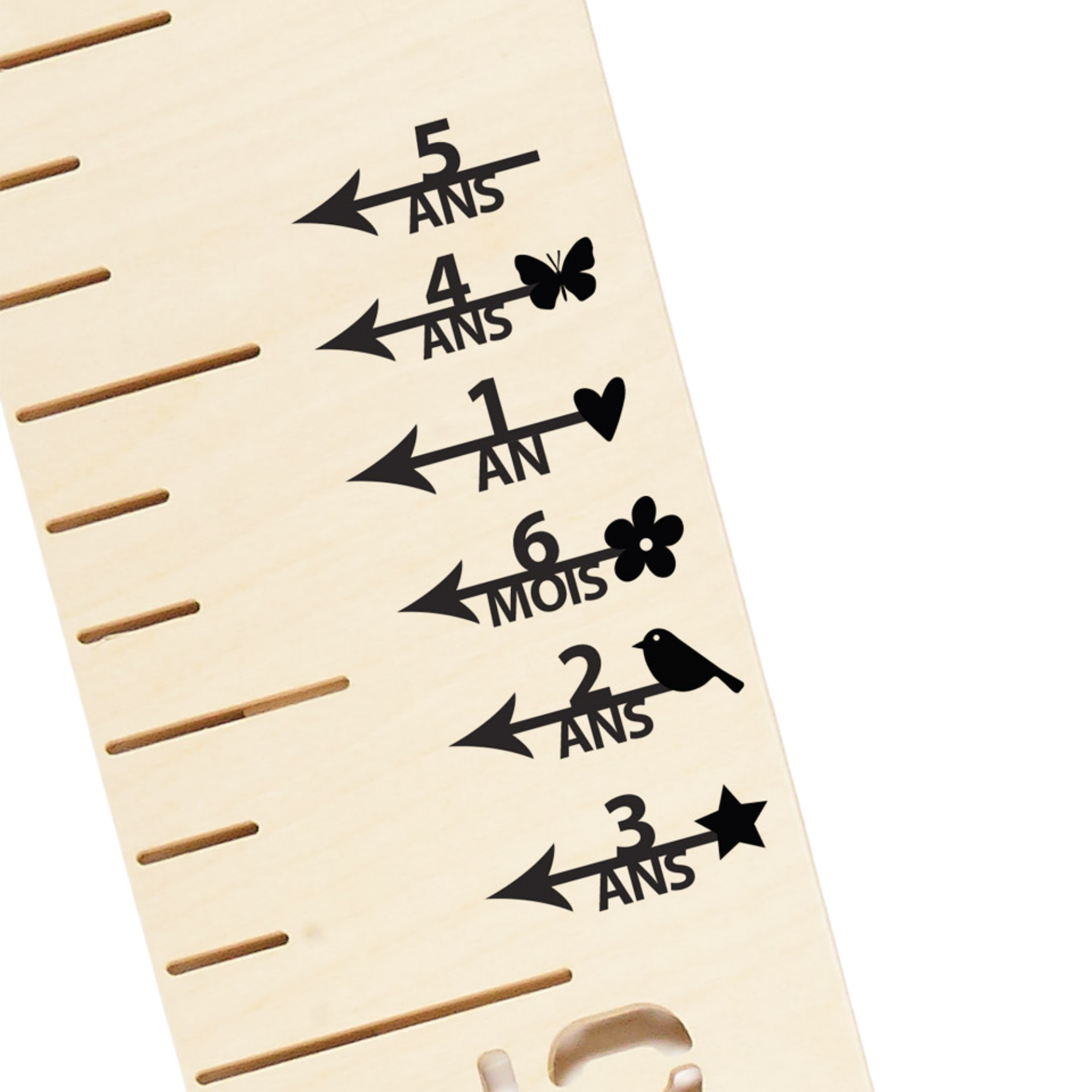 ABRICOTINE Height Markers - Hearts (French)