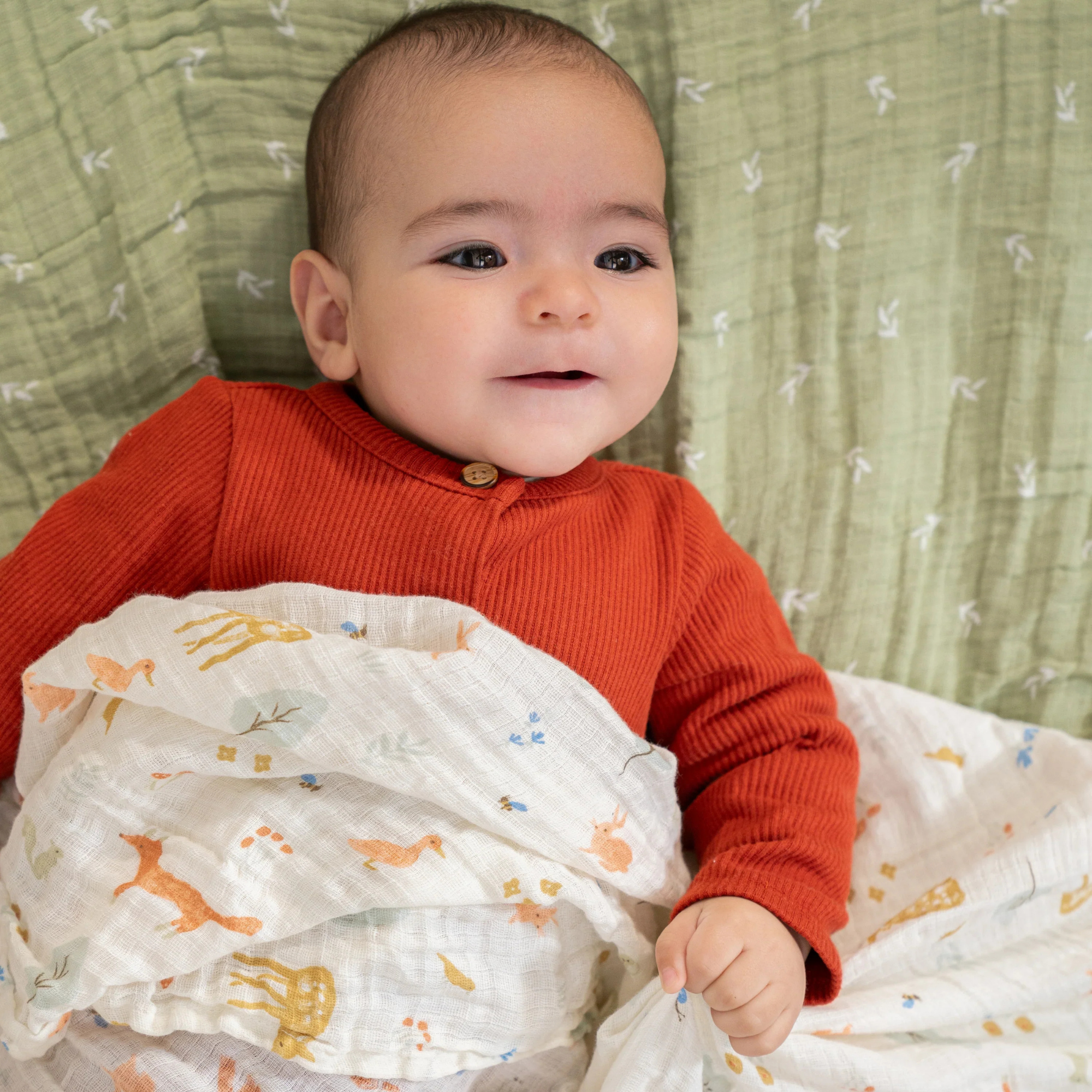 ADEN + ANAIS Cotton Muslin Swaddle (4 Pk) - Sage Woodland