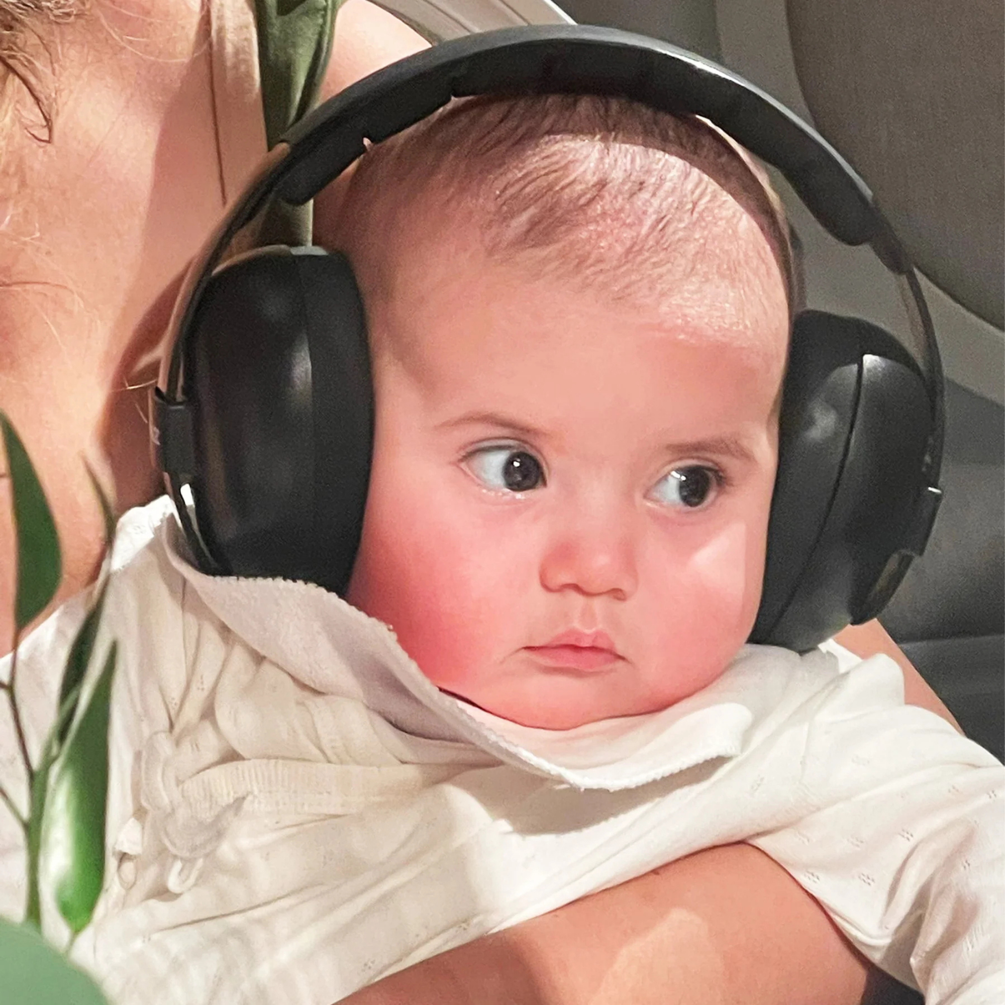 BABY BANZ Baby Hearing Protection Earmuffs (2m+)