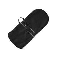 Baby bjorn bouncer transport bag on sale