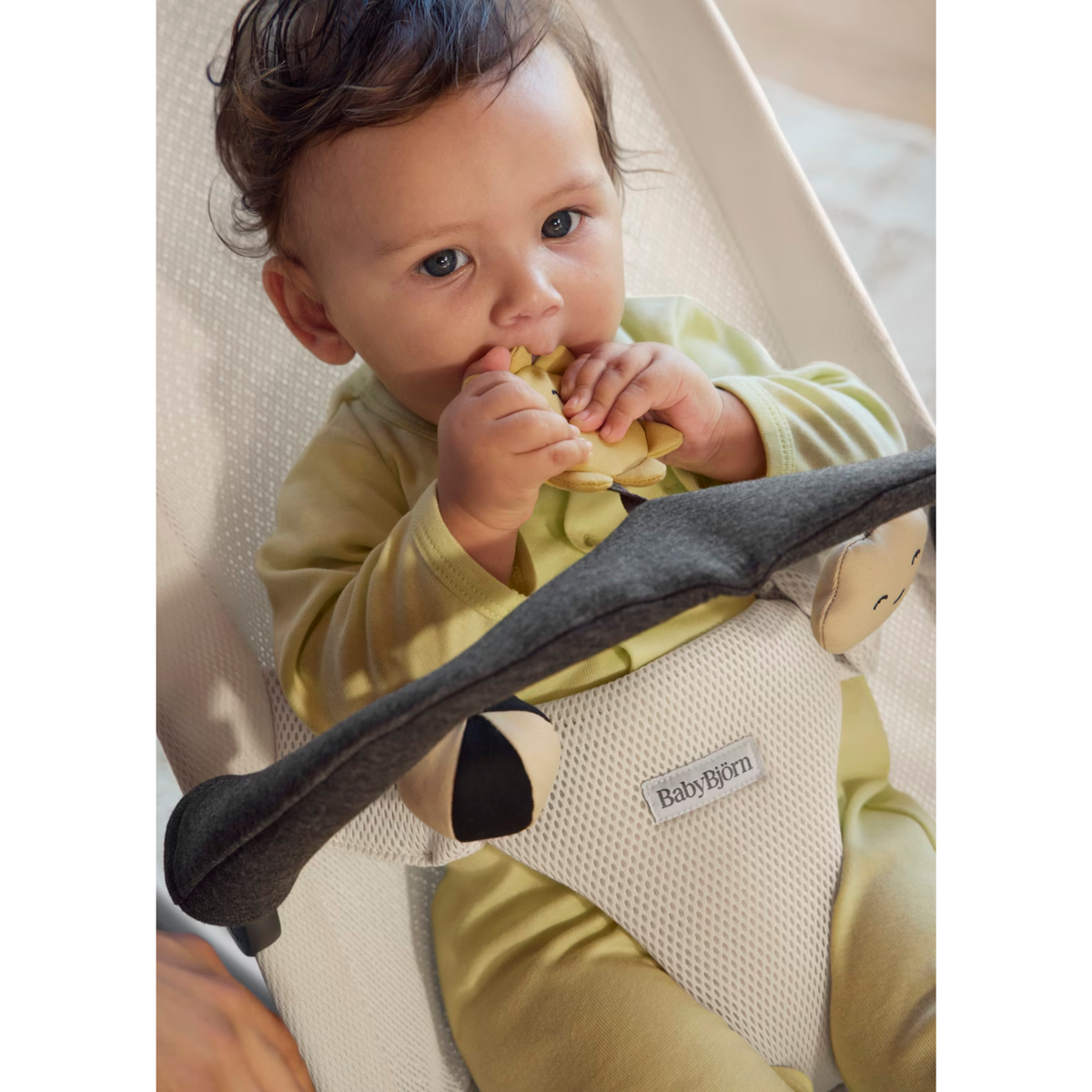 BABYBJÖRN Toy for Bouncer - Sunny Friends