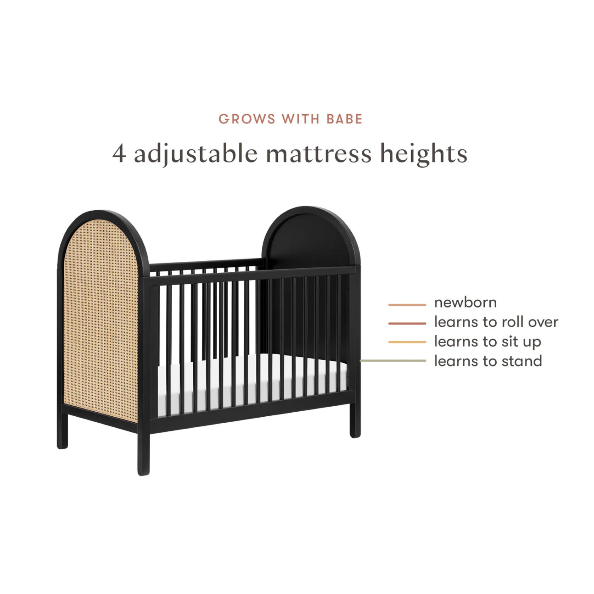 BABYLETTO Bondi Cane 3-in-1 Convertible Crib w/Toddler Bed Kit