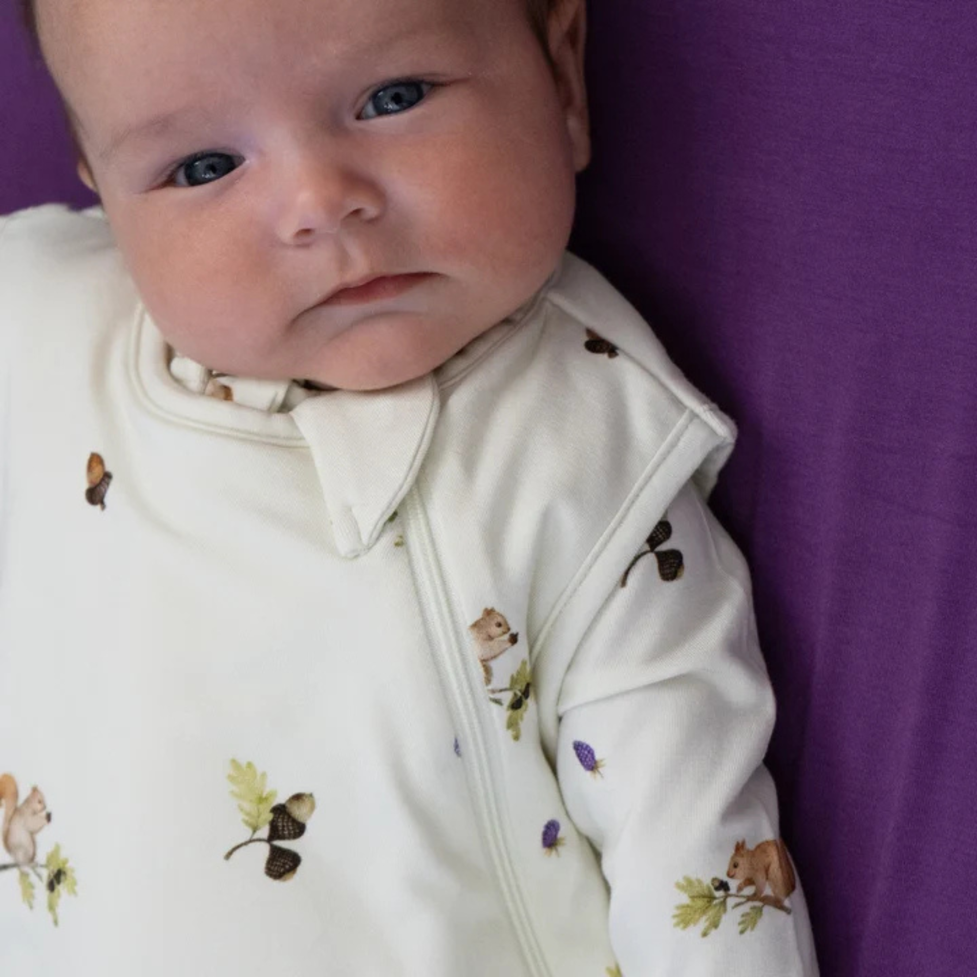 BELAN J 1.0 TOG Sleep Sack - Squirrels