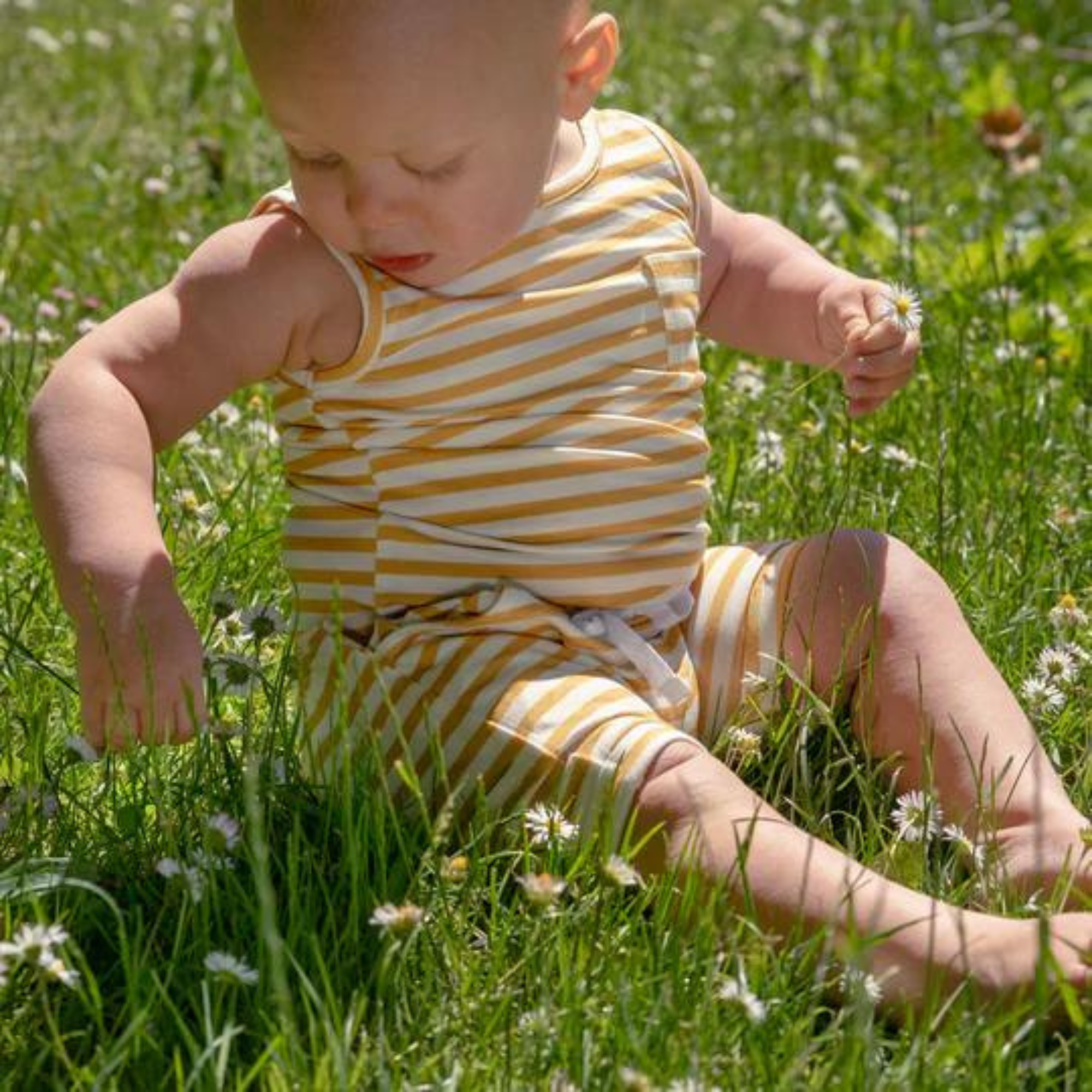 BELAN J Harem Shorts - Sun Stripe