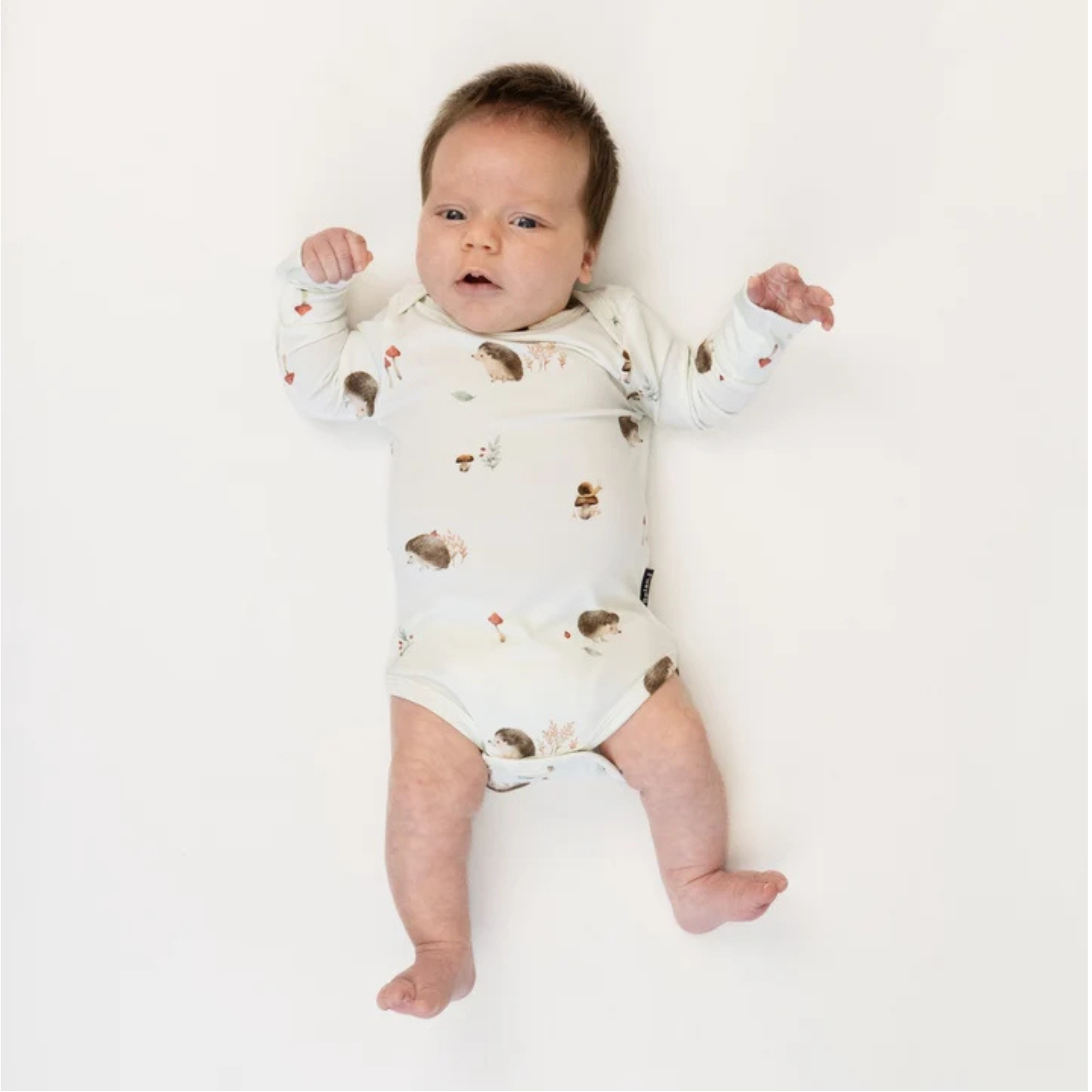 BELAN J Long Sleeve Onesie - Hedgehogs
