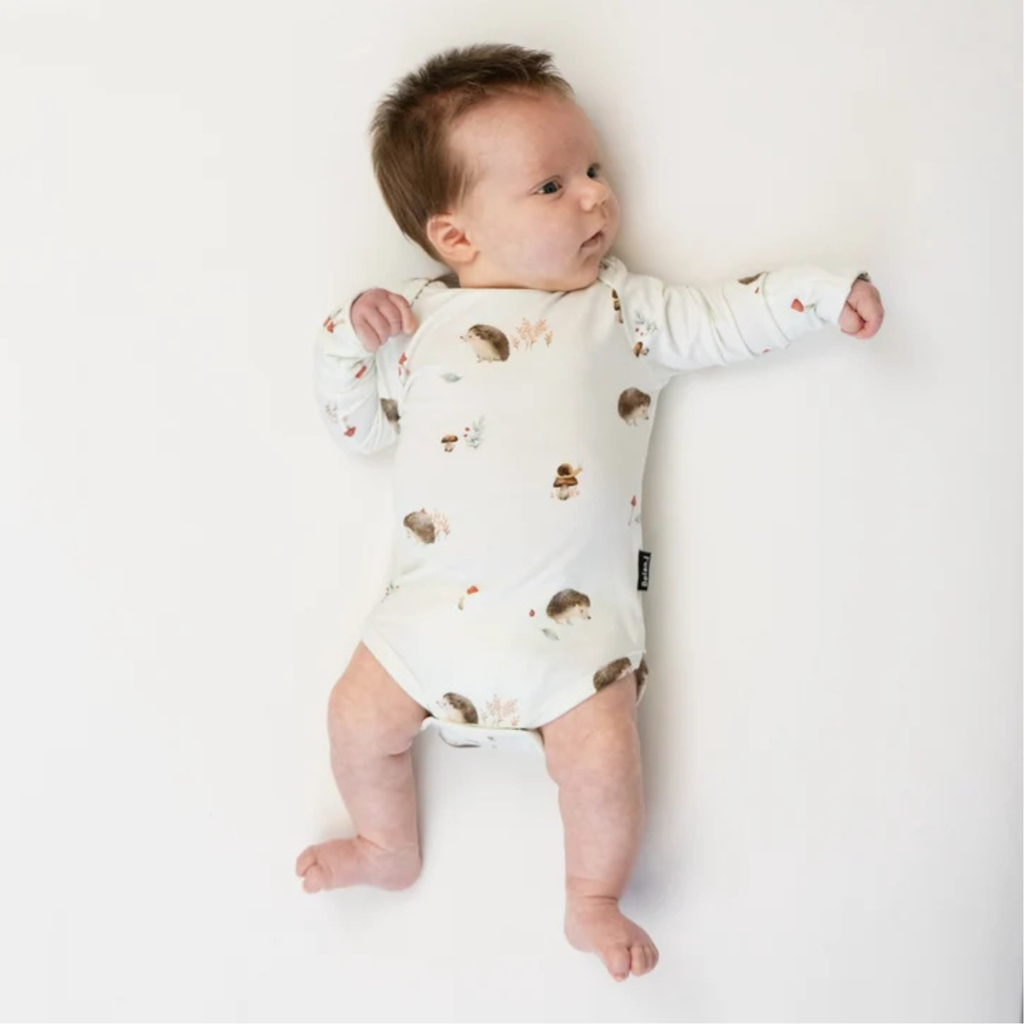 BELAN J Long Sleeve Onesie - Hedgehogs