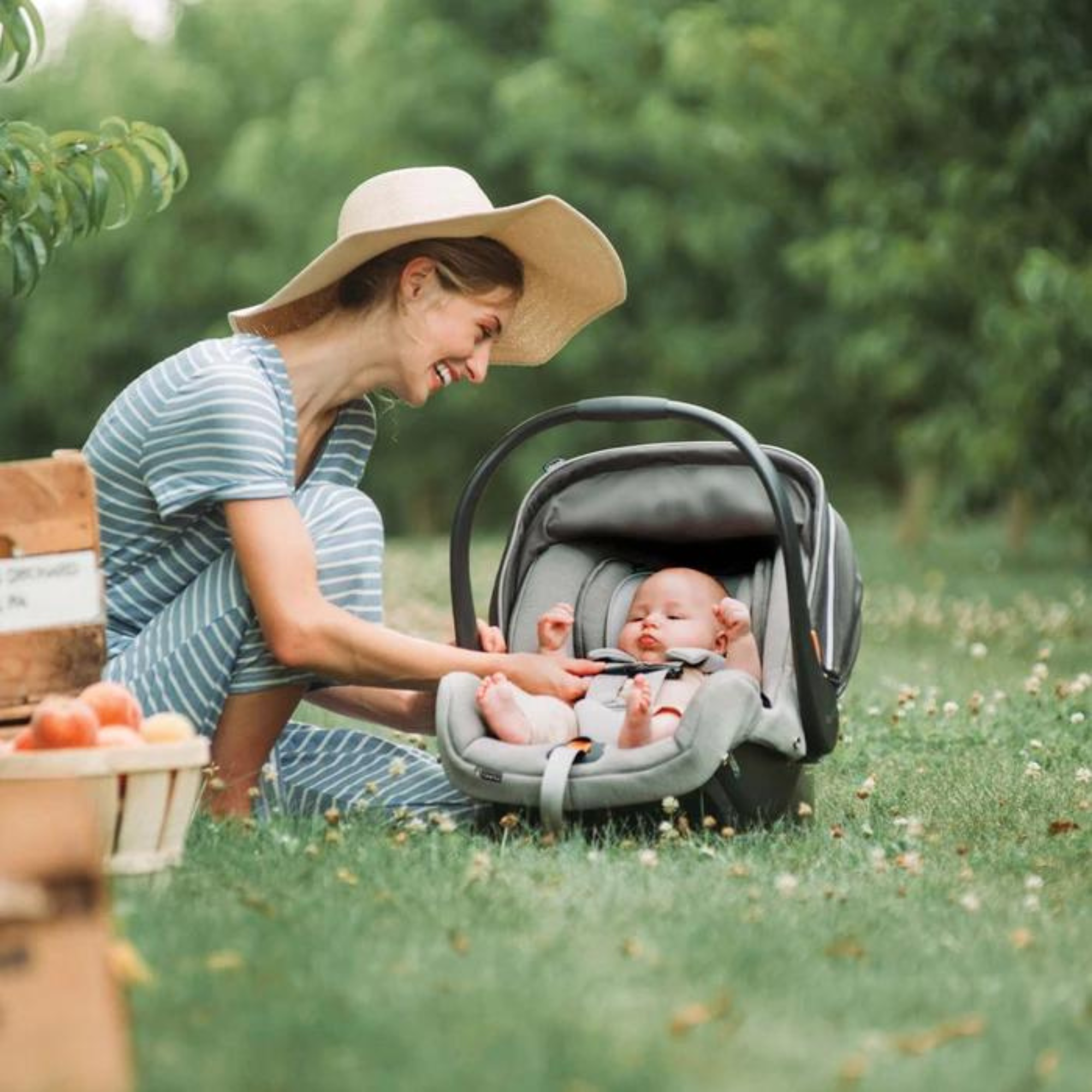 CHICCO KeyFit 35 Cleartex Infant Car Seat - Shadow