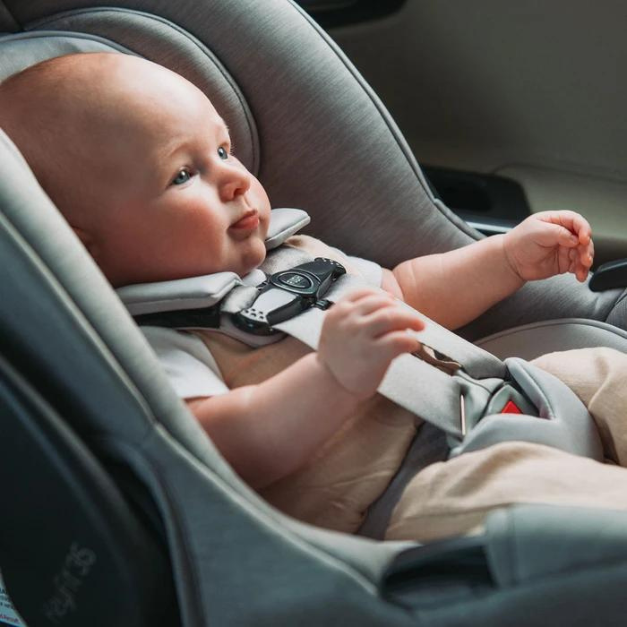 CHICCO KeyFit 35 Cleartex Infant Car Seat - Shadow