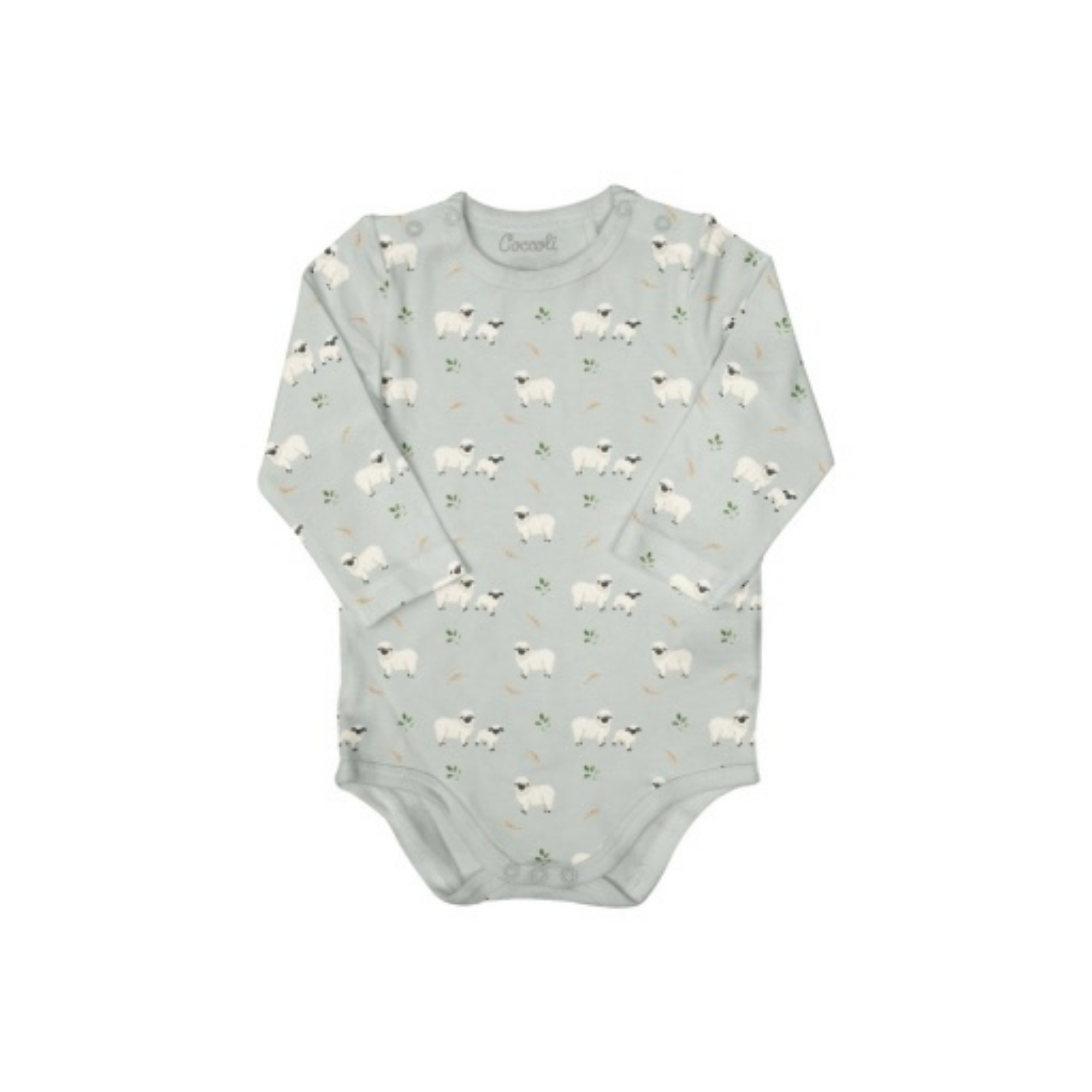 Combinaison en modal COCCOLI - Mouton sur Mercure