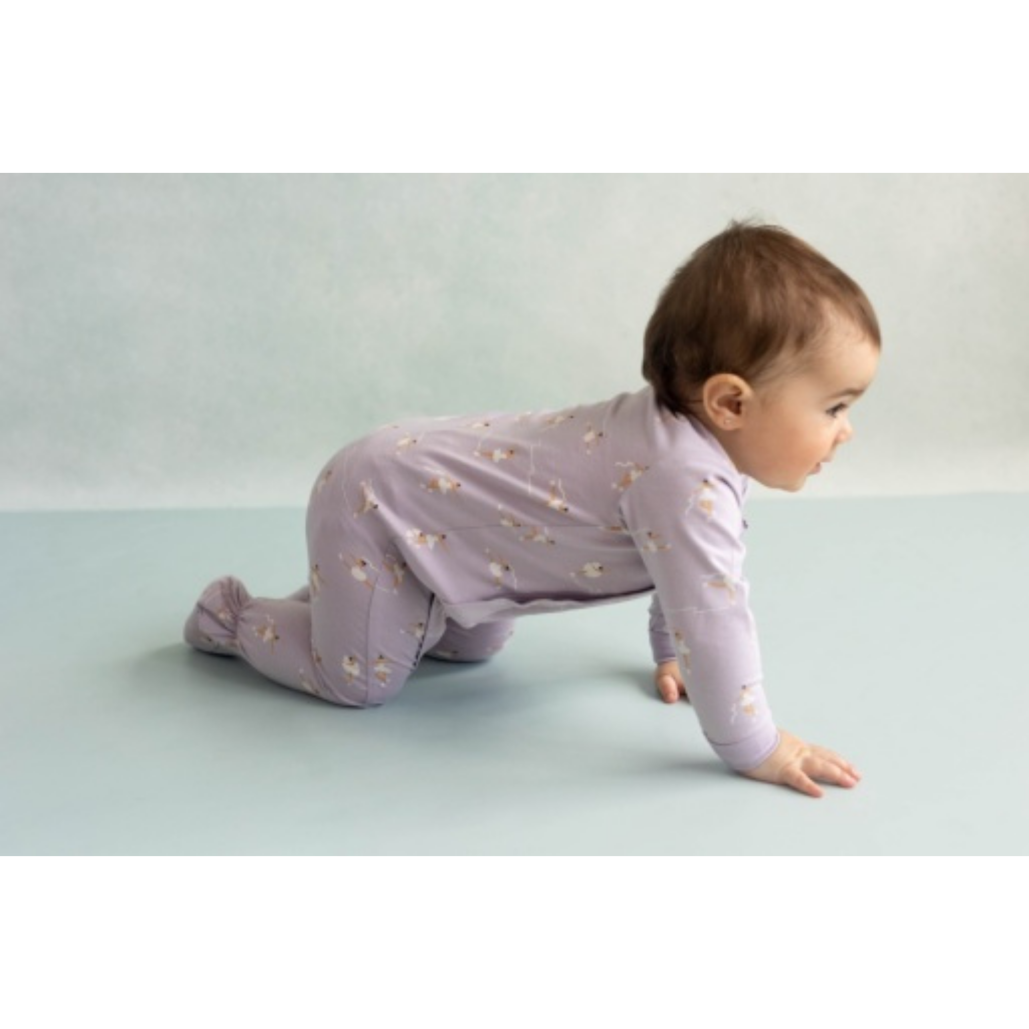 Chaussons zippés en modal COCCOLI - Patinage artistique sur violet