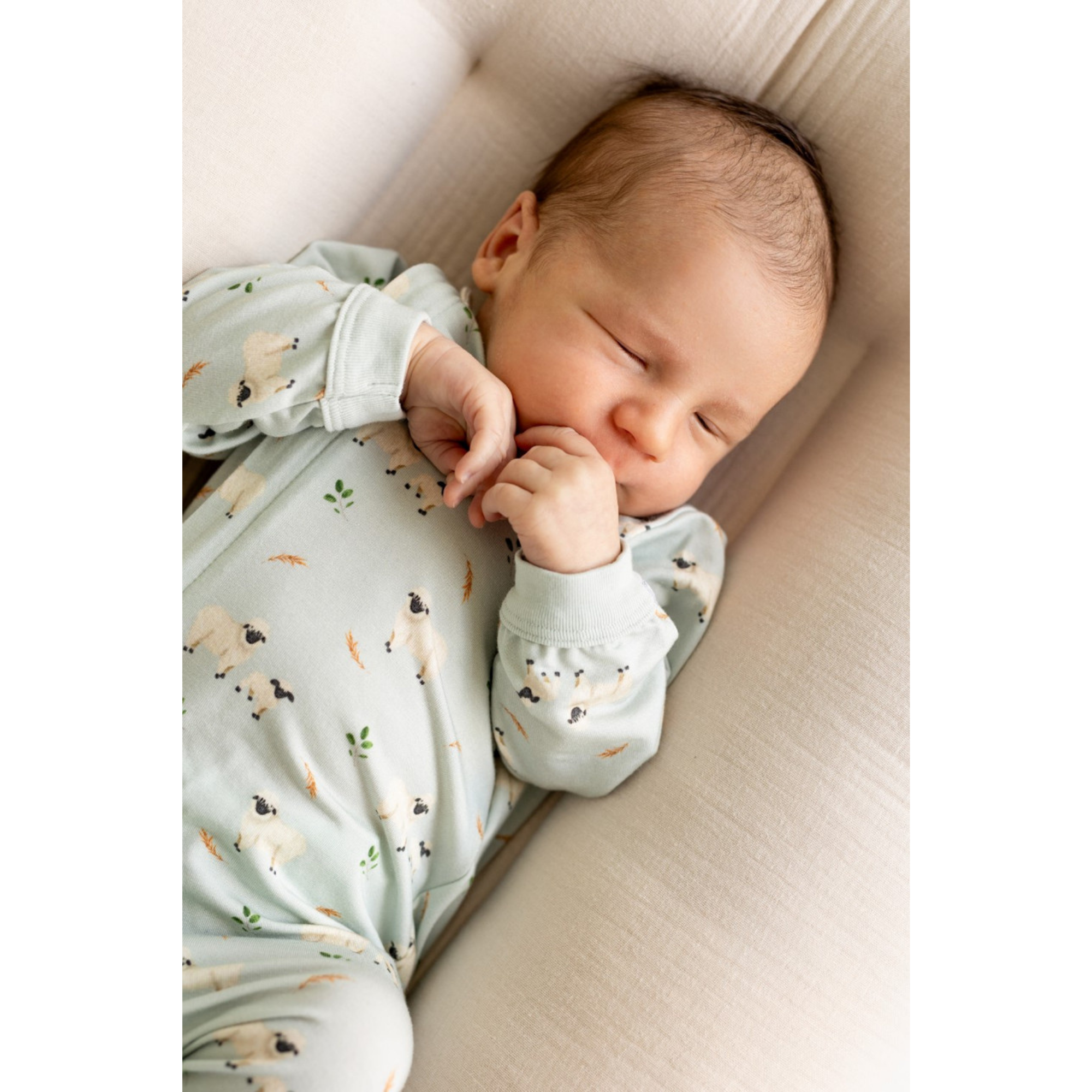 Chaussons zippés en modal COCCOLI - Mouton sur Mercure