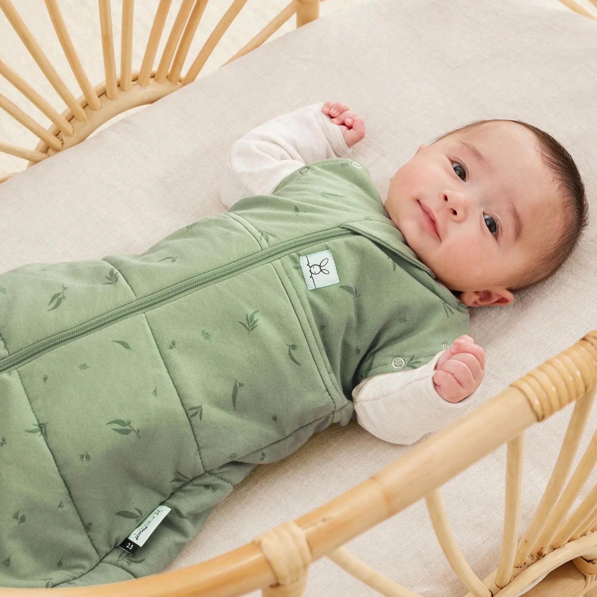 ERGOPOUCH Cocoon Swaddle Bag - Willow