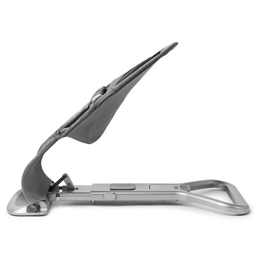 ERGOBABY Evolve Bouncer