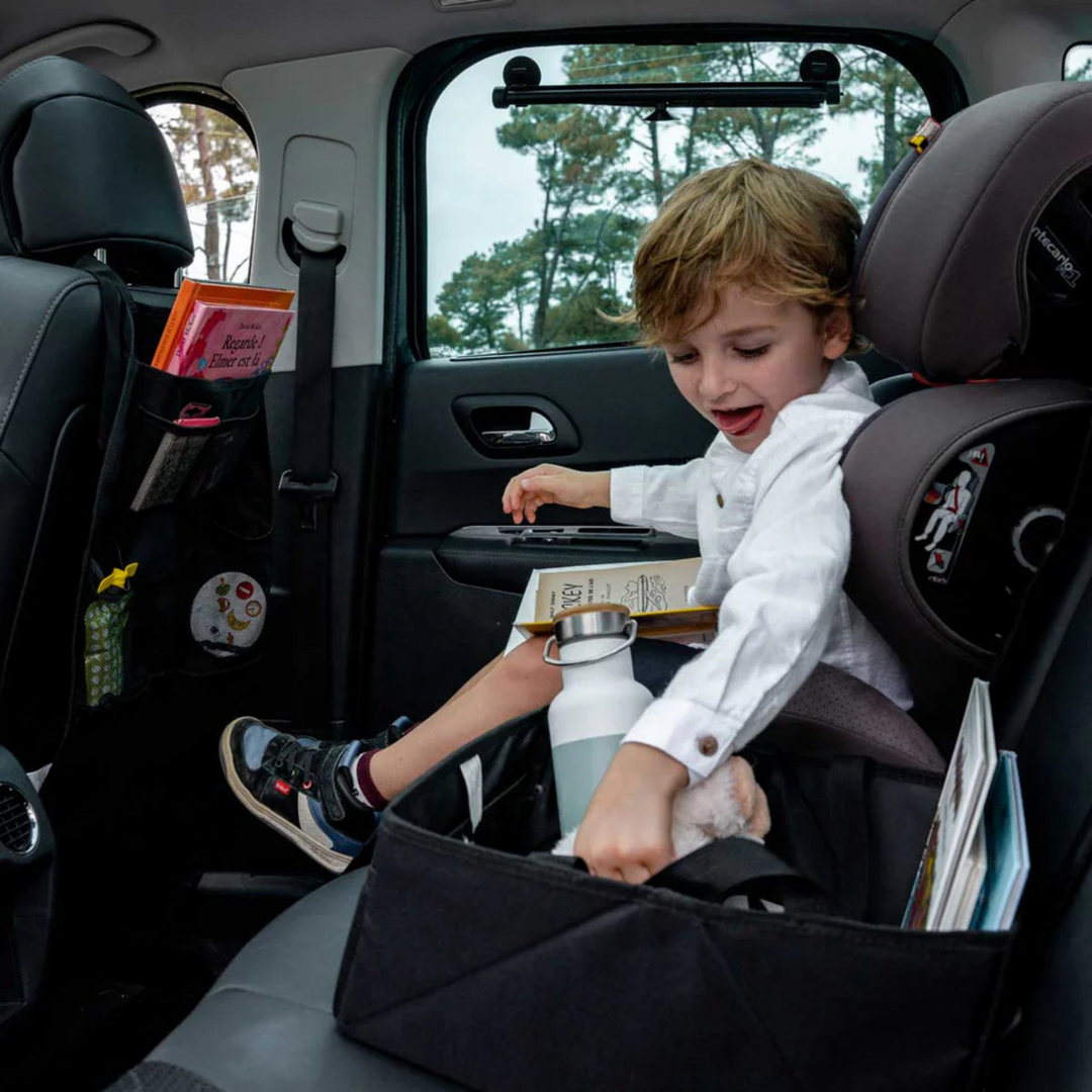 EZIMOOV Car Organizer Bag