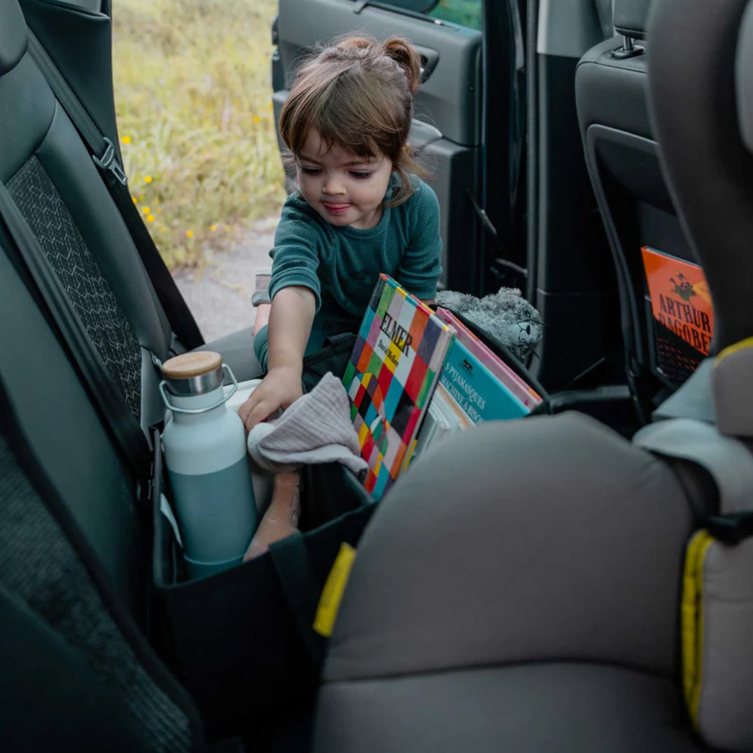 EZIMOOV Car Organizer Bag