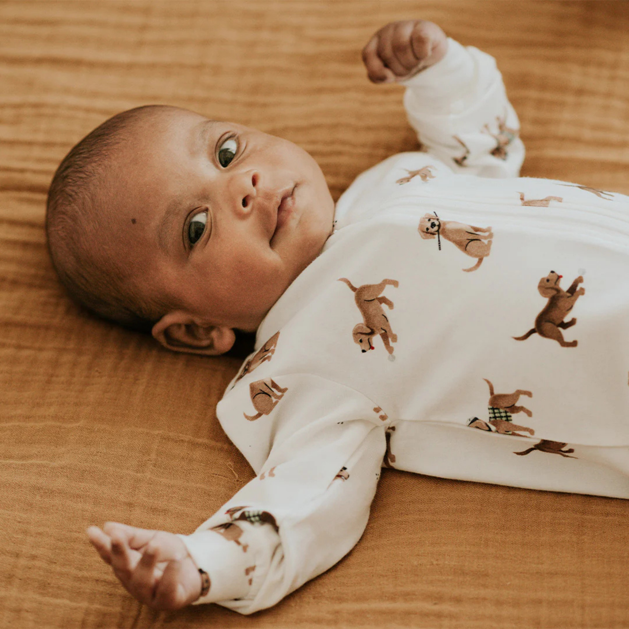 PREMIERS chiots de golf sur un dormeur à pattes blanc cassé