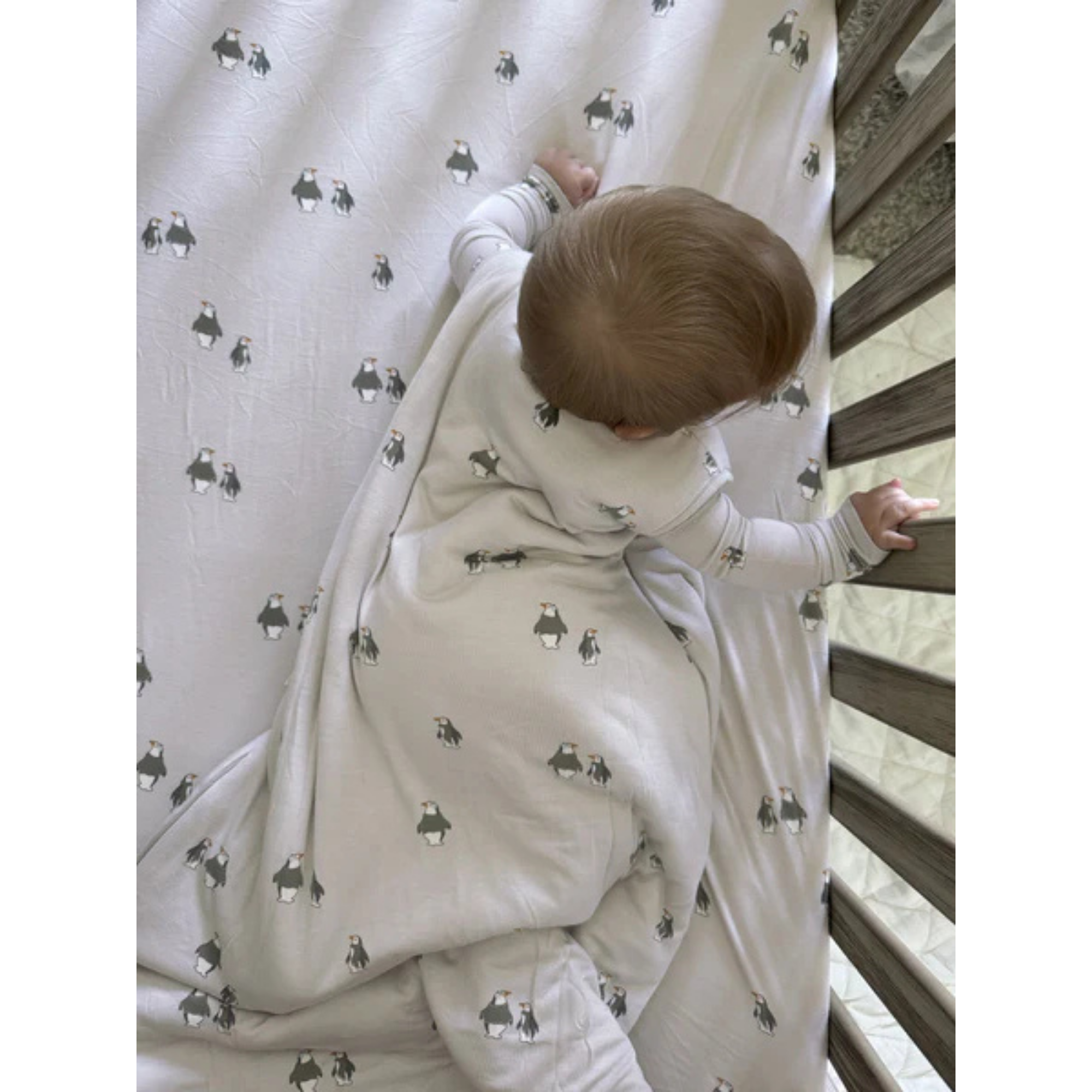 GÜNAMÜNA Sleep Sack 1Tog - Penguins