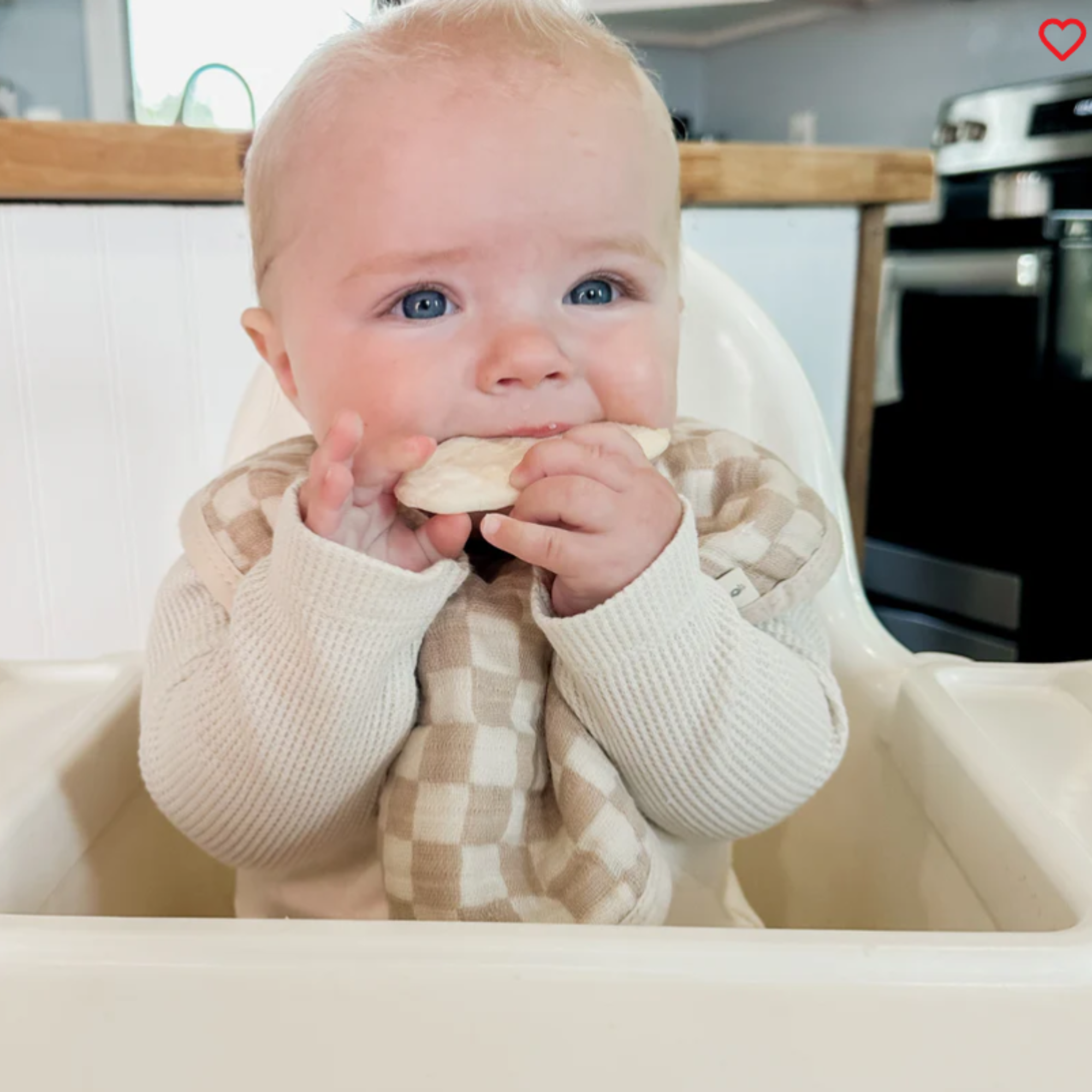 ITZY RITZY Itzy Bibs