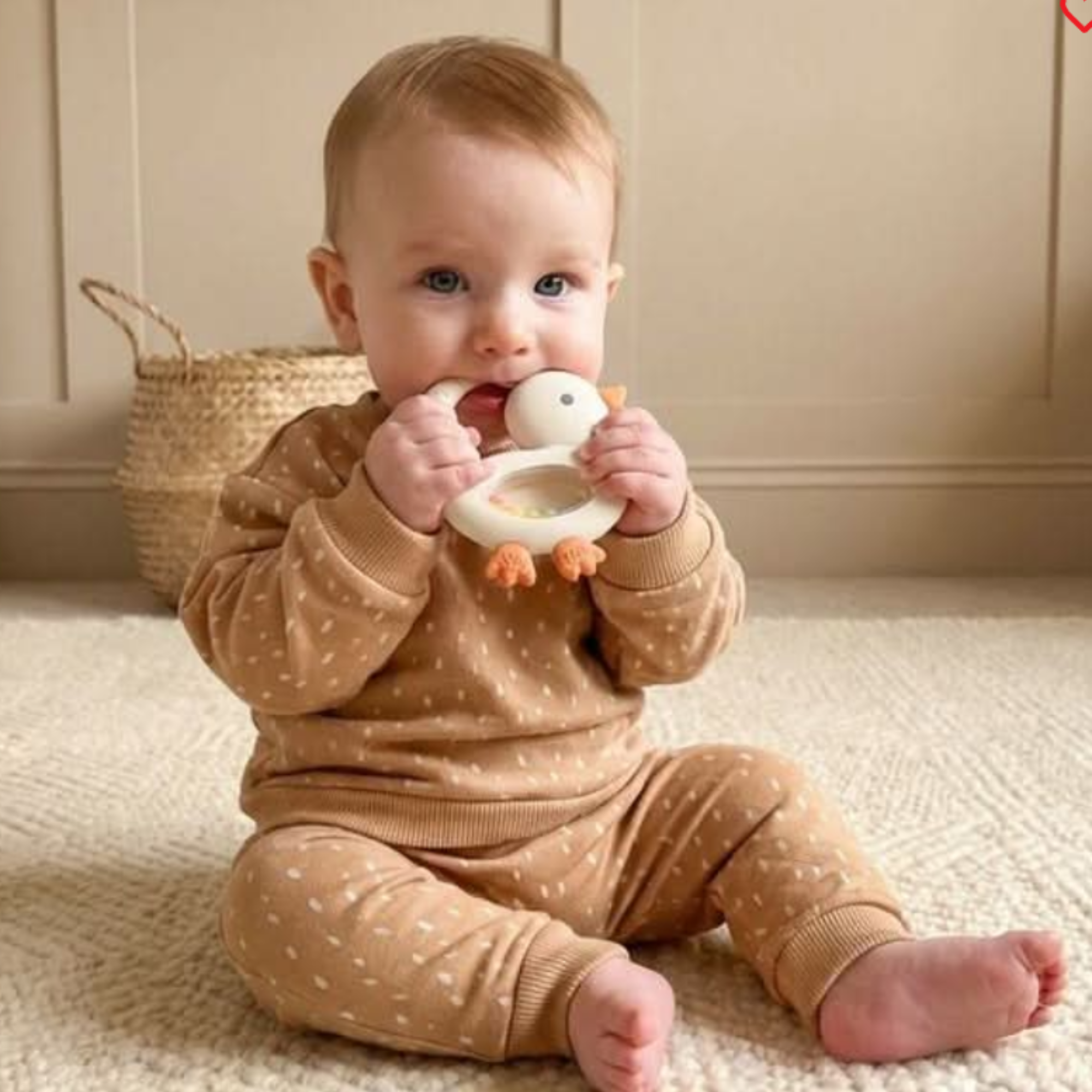 ITZY RITZY Bitzy Shake