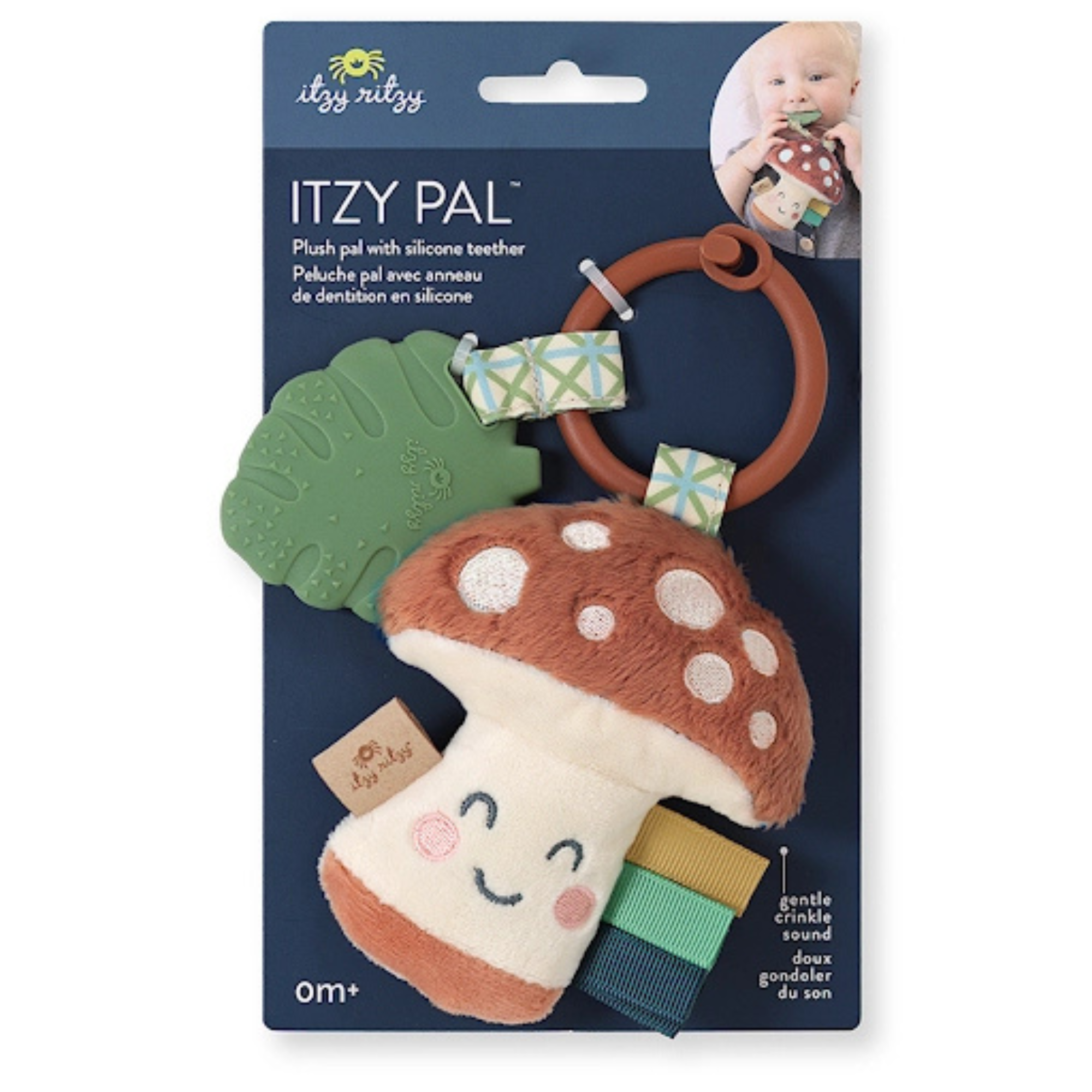 ITZY RITZY Itzy Pal