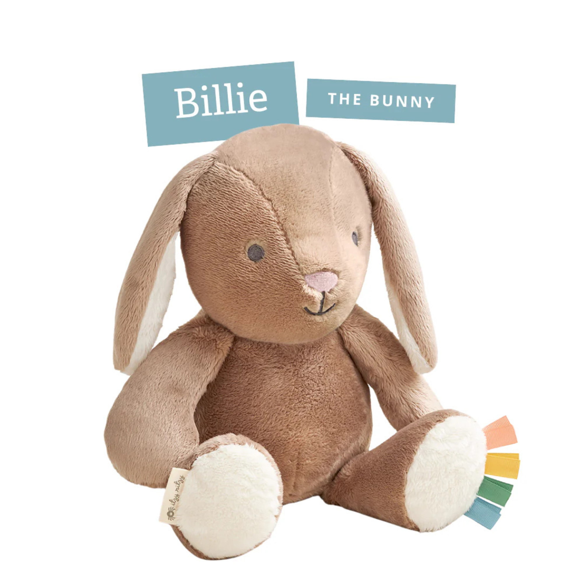ITZY RITZY Sweetie Snuggles Plush