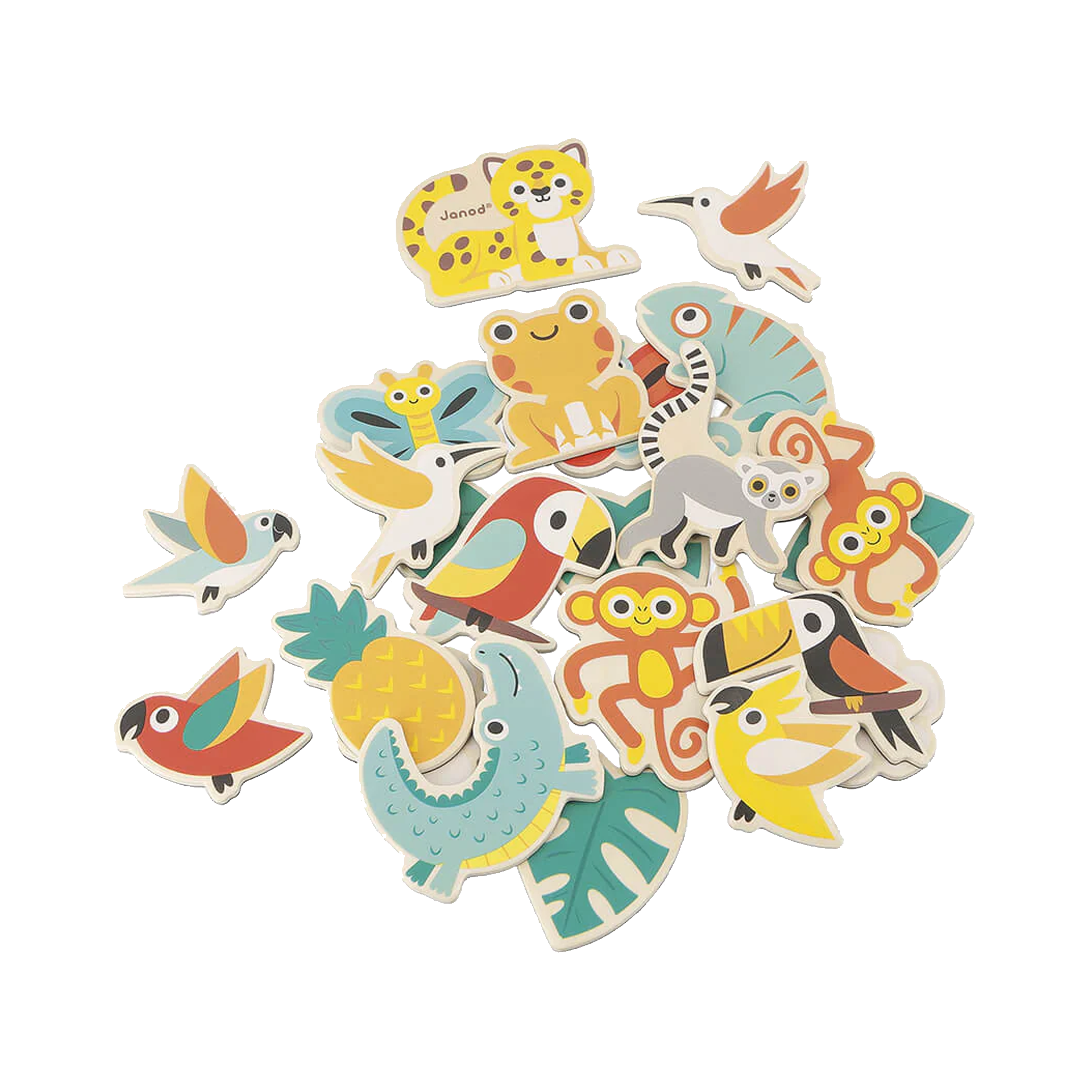 Coffret aimants Tropik JANOD 24 pièces
