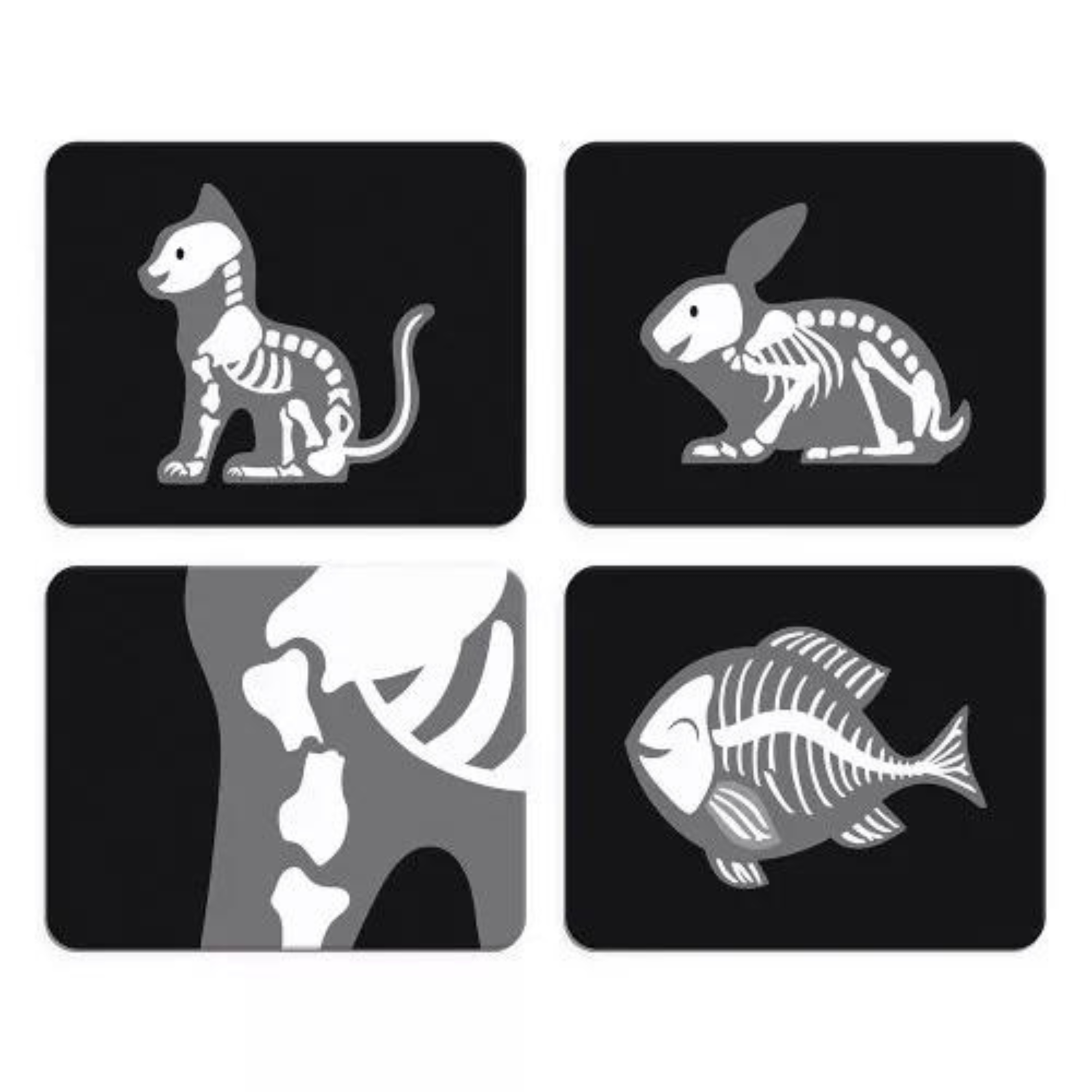 Le cas du vétérinaire JANOD