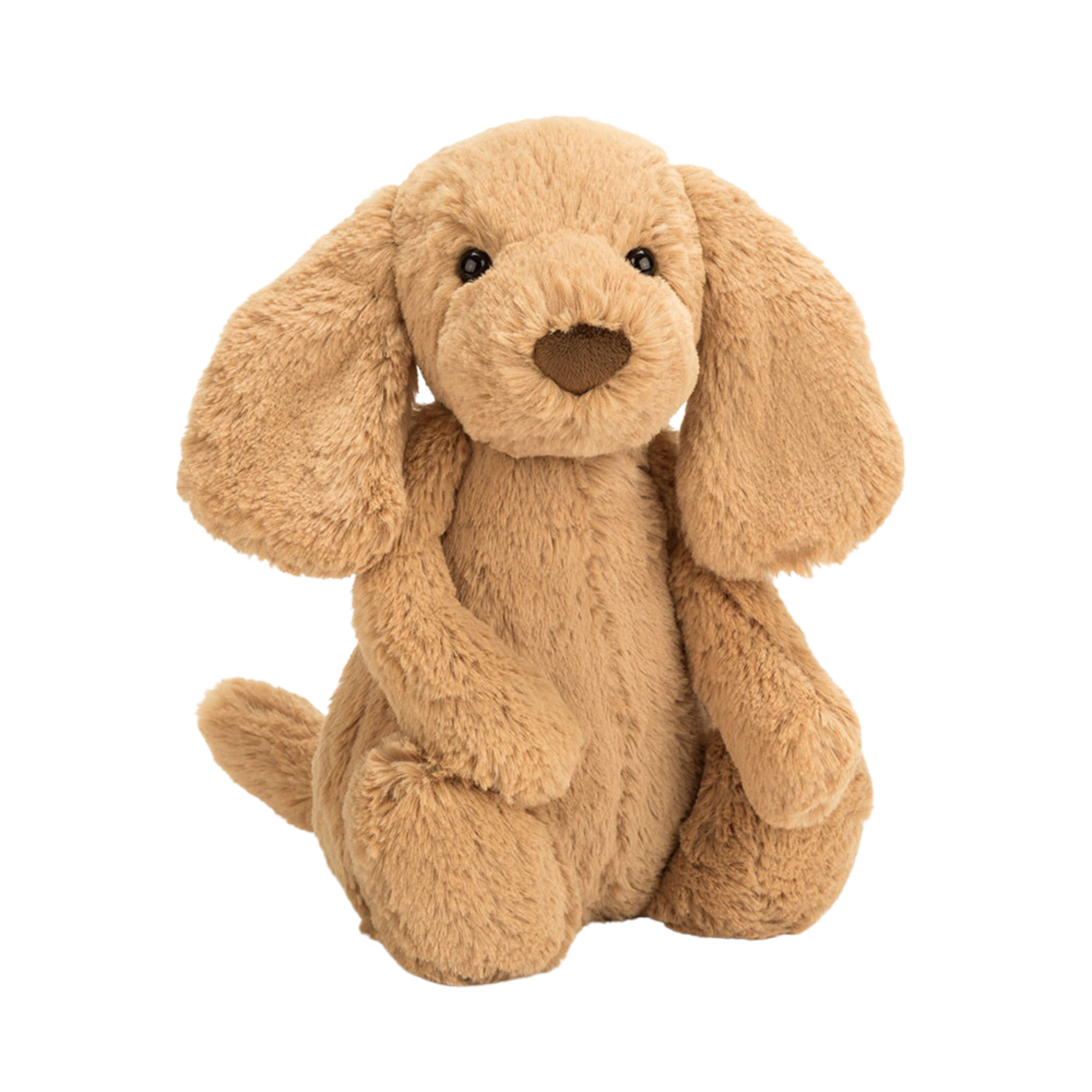 JELLYCAT Bashful Toffee Puppy - Original