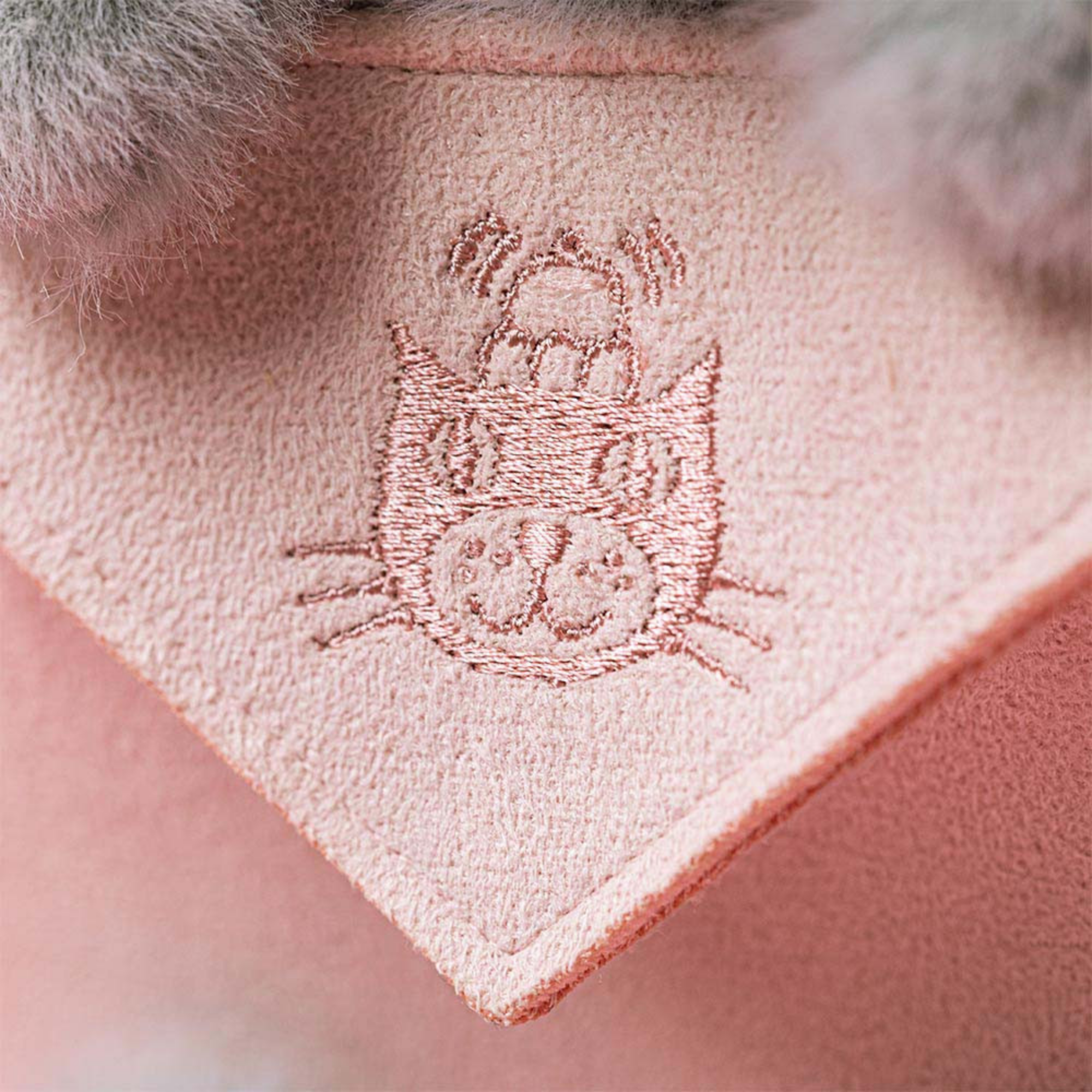 JELLYCAT Koala with Message