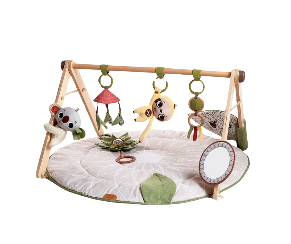 TINY LOVE Boho Chic Luxe Developmental Gymini