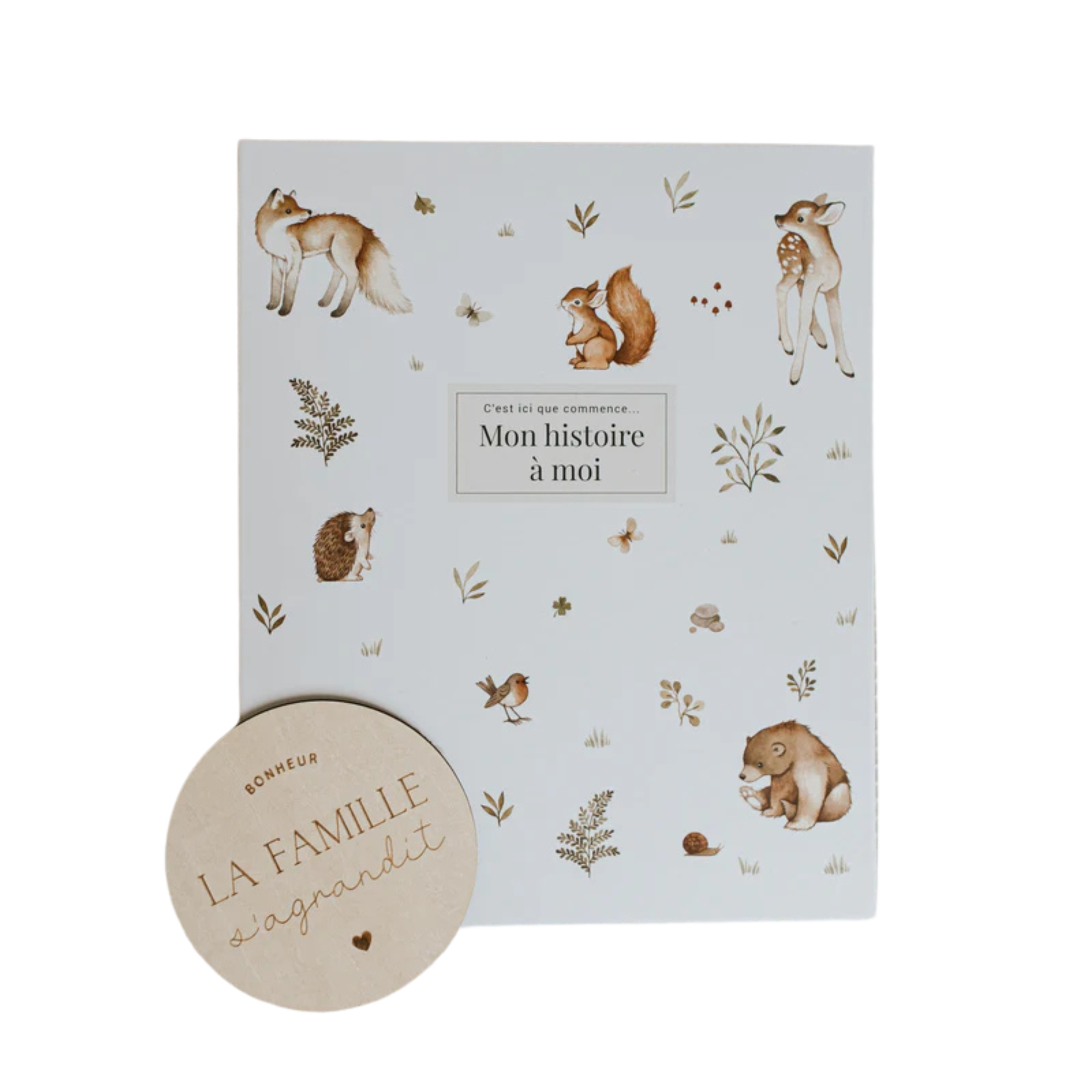 LE PETIT TABLEAU NOIR Baby Book (French)