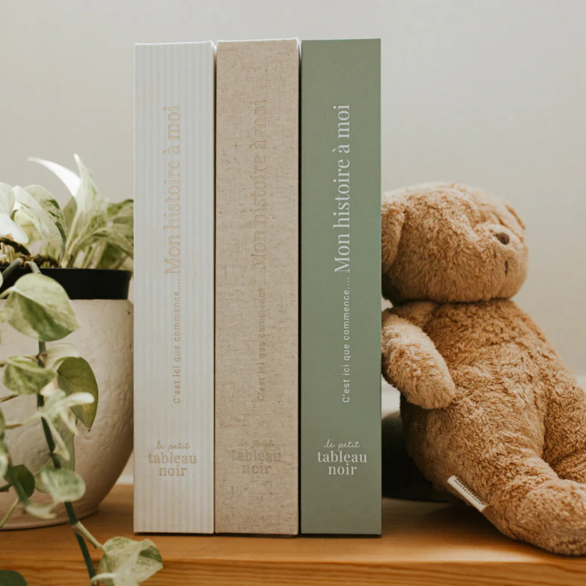 LE PETIT TABLEAU NOIR Baby Book (French)