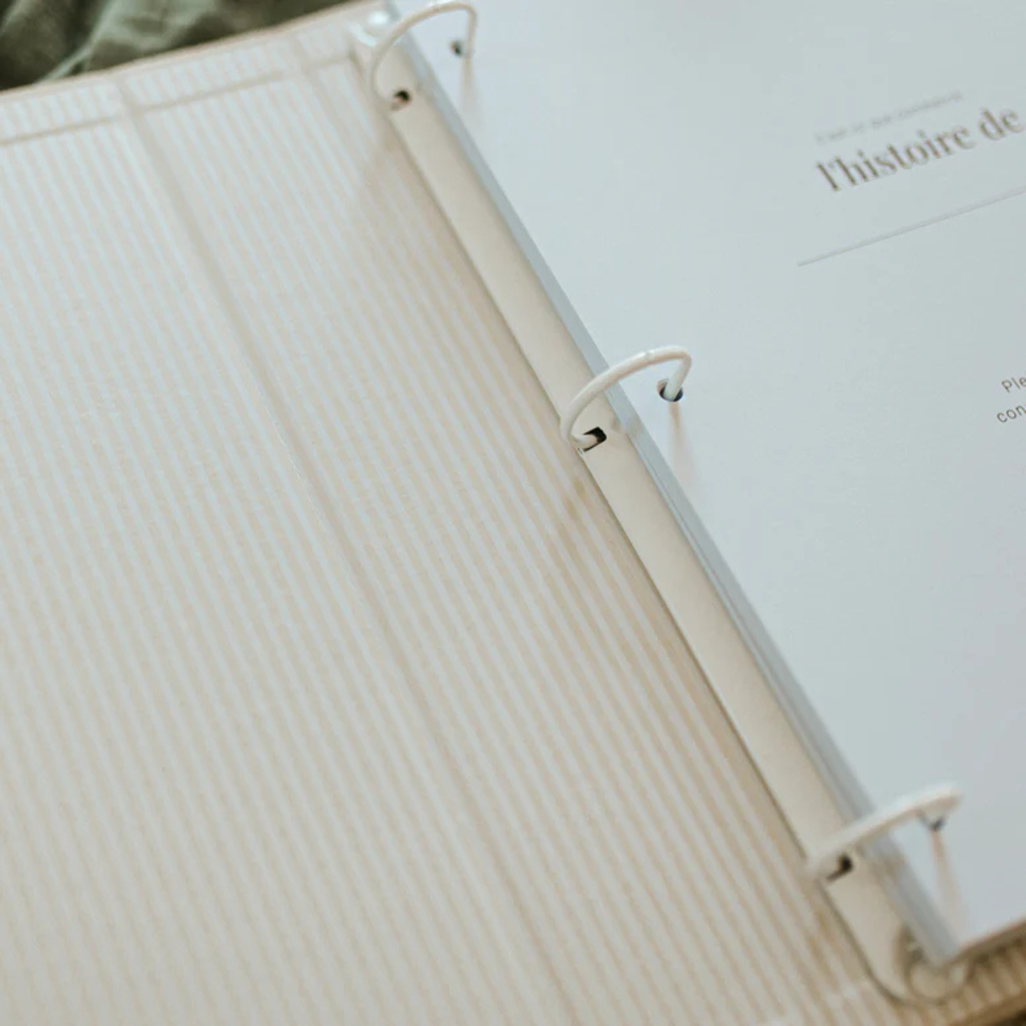 LE PETIT TABLEAU NOIR Baby Book (French)