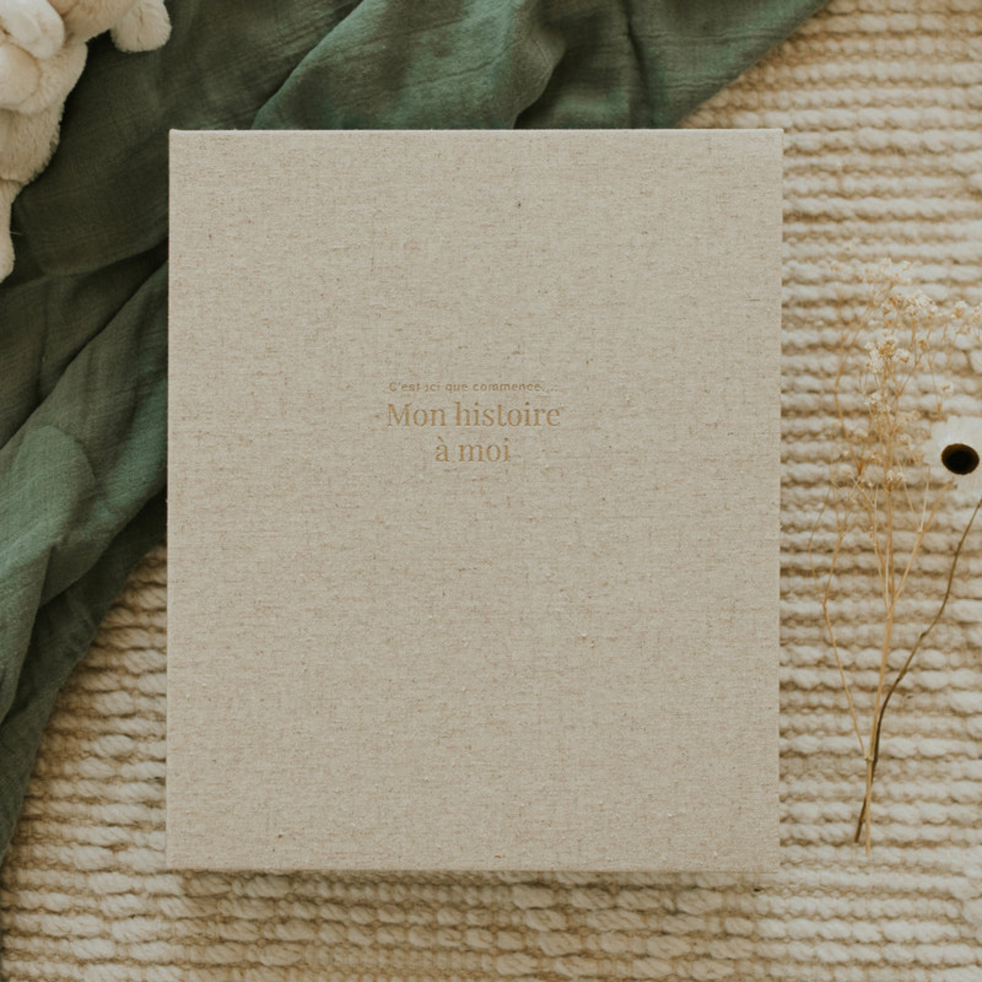 LE PETIT TABLEAU NOIR Baby Book (French)