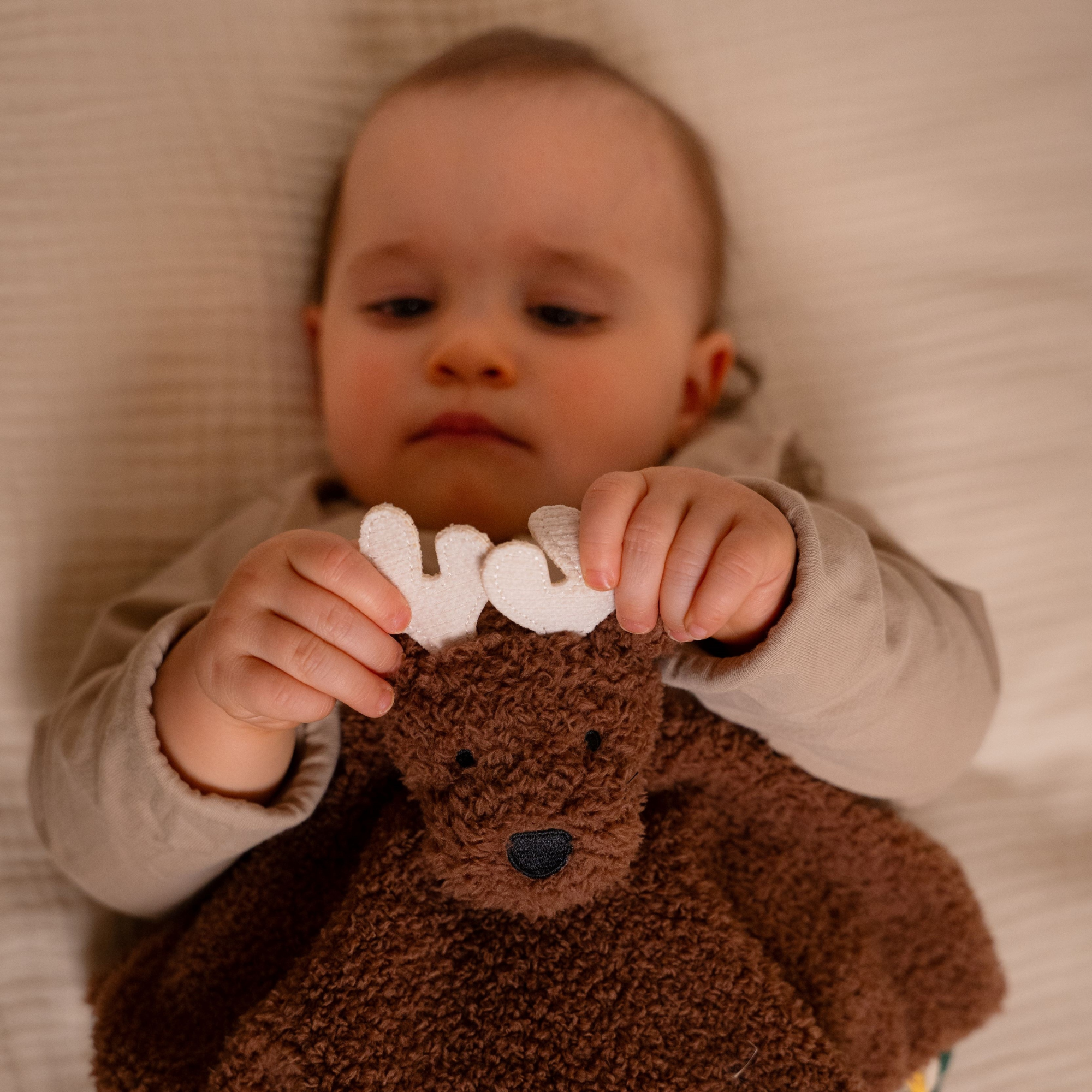 LITTLE BIG FRIENDS Baby Comforter - Bruce the Moose