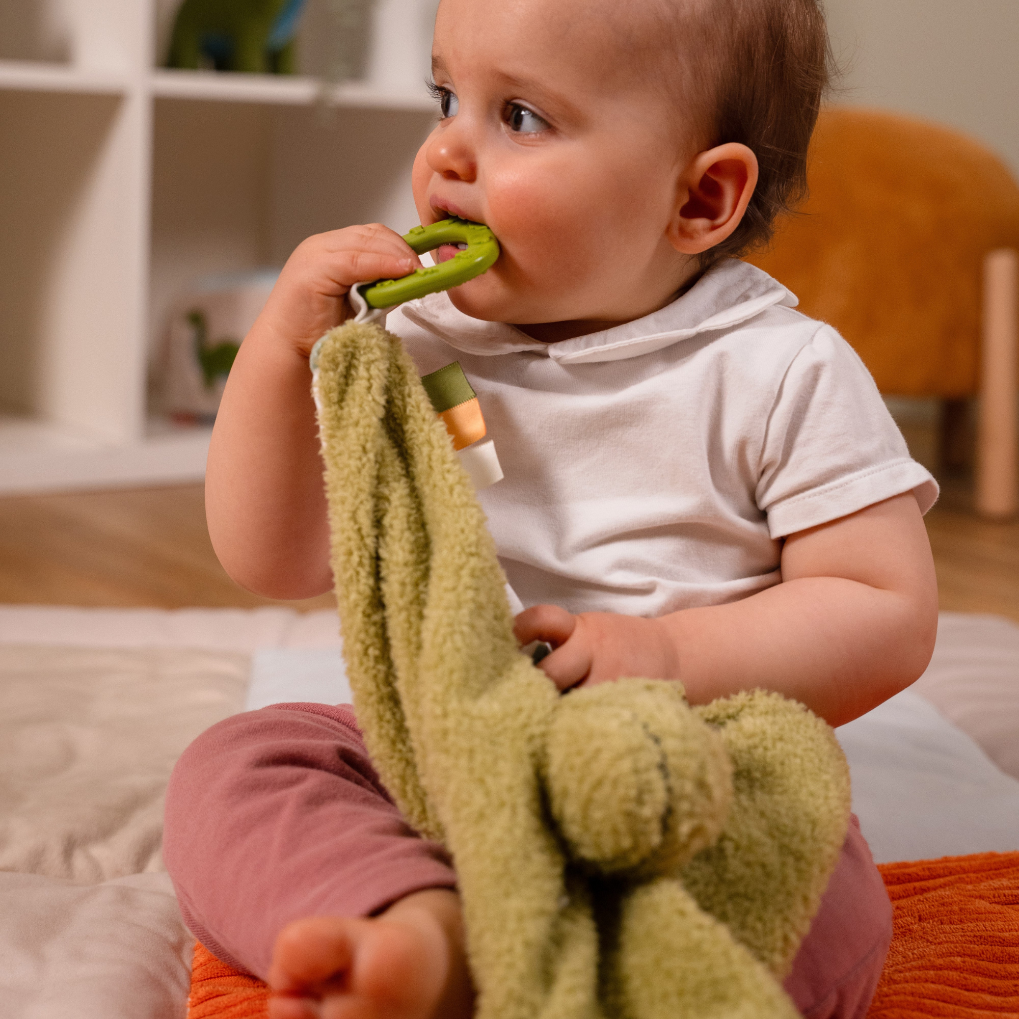 PETITS GRANDS AMIS Doudou pour bébé - Rex le Tyrannosaure