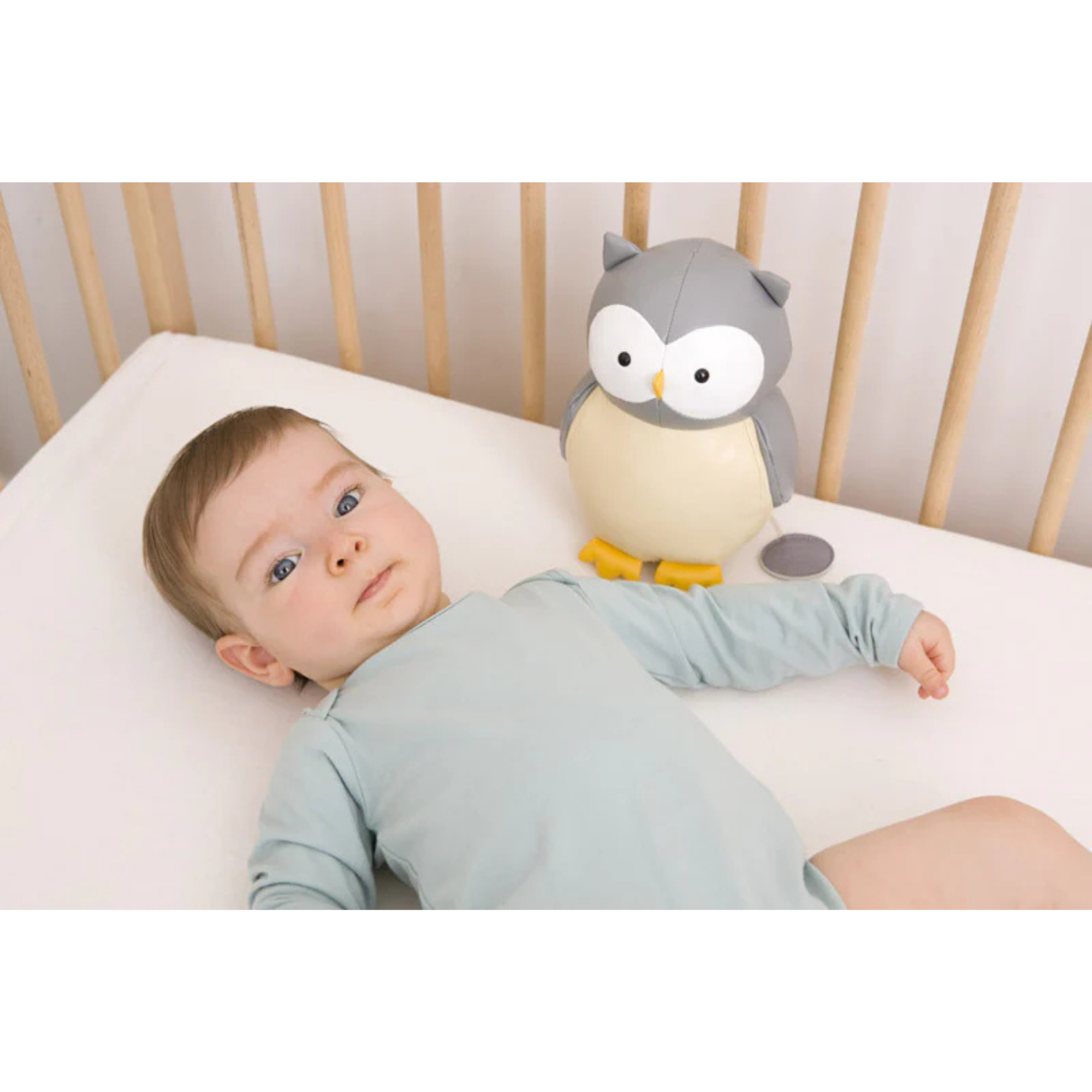 LITTLE BIG FRIENDS Musical Friends - Colette the Owl