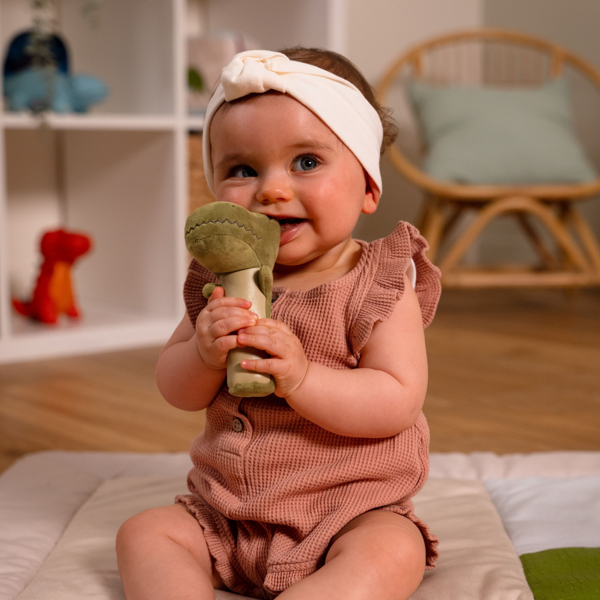 LITTLE BIG FRIENDS Squeaker Rattle - Rex the Tyrannosaurus