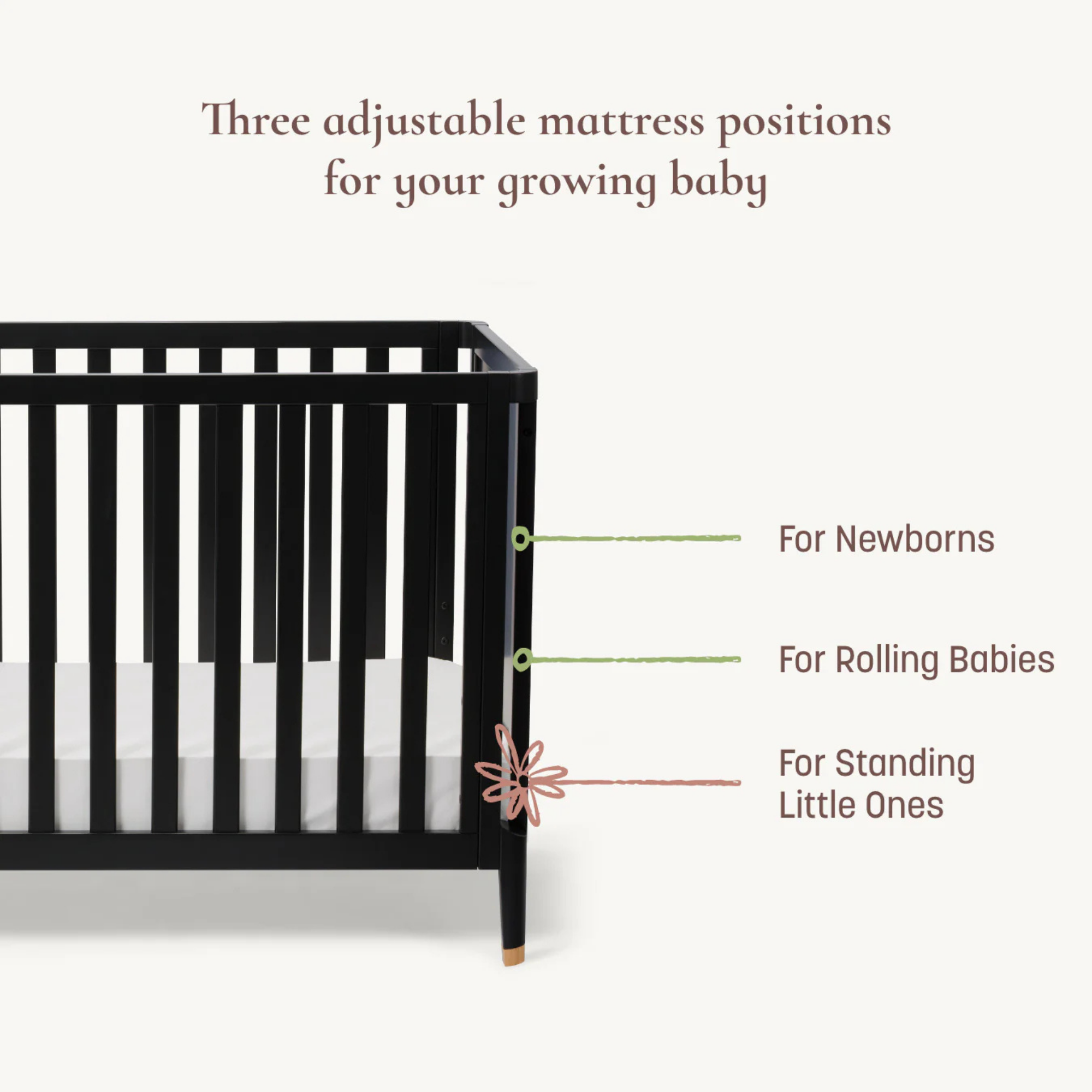 LITTLE SEEDS Aster 4-in-1 Convertible Crib