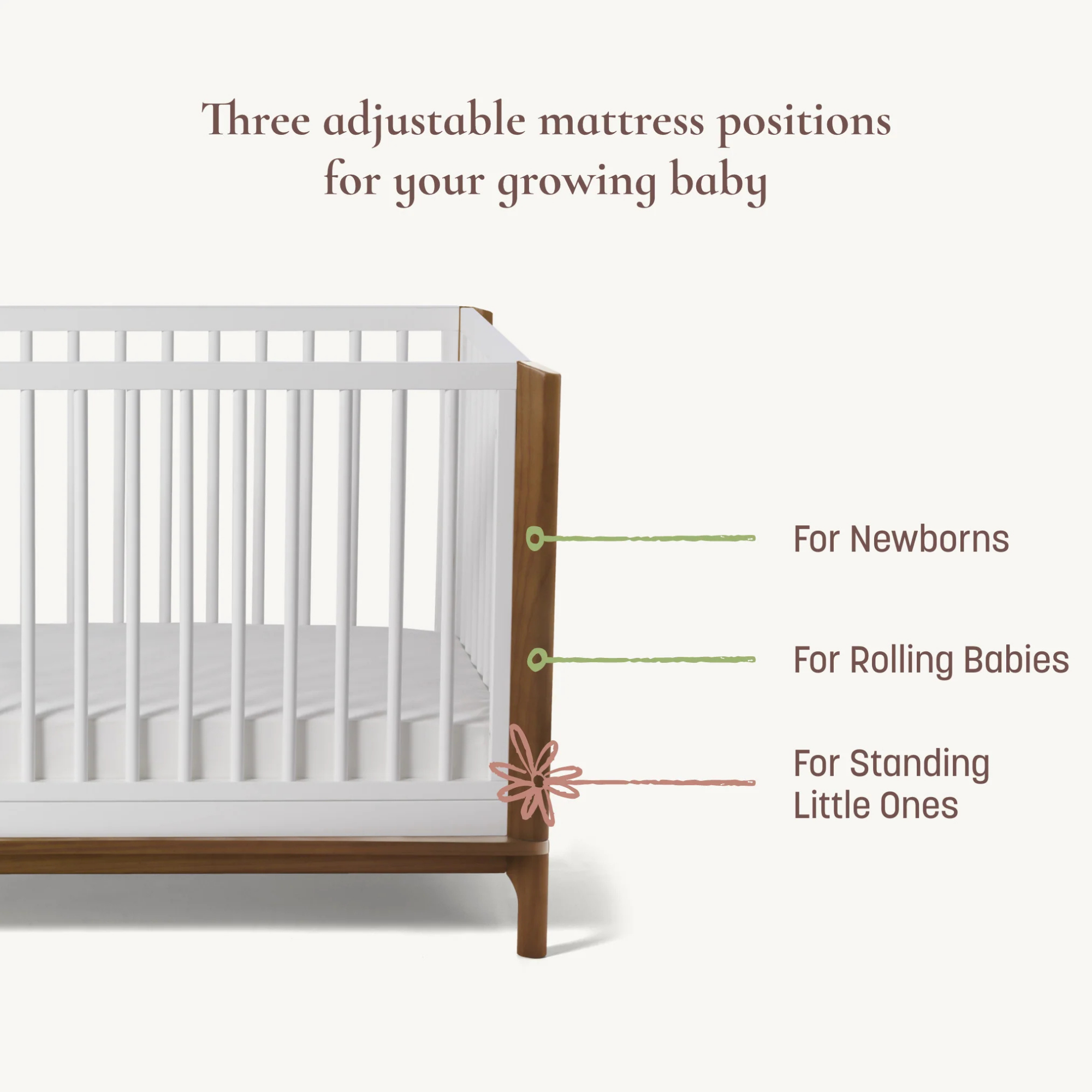 LITTLE SEEDS Laurel Island 4-in-1 Crib