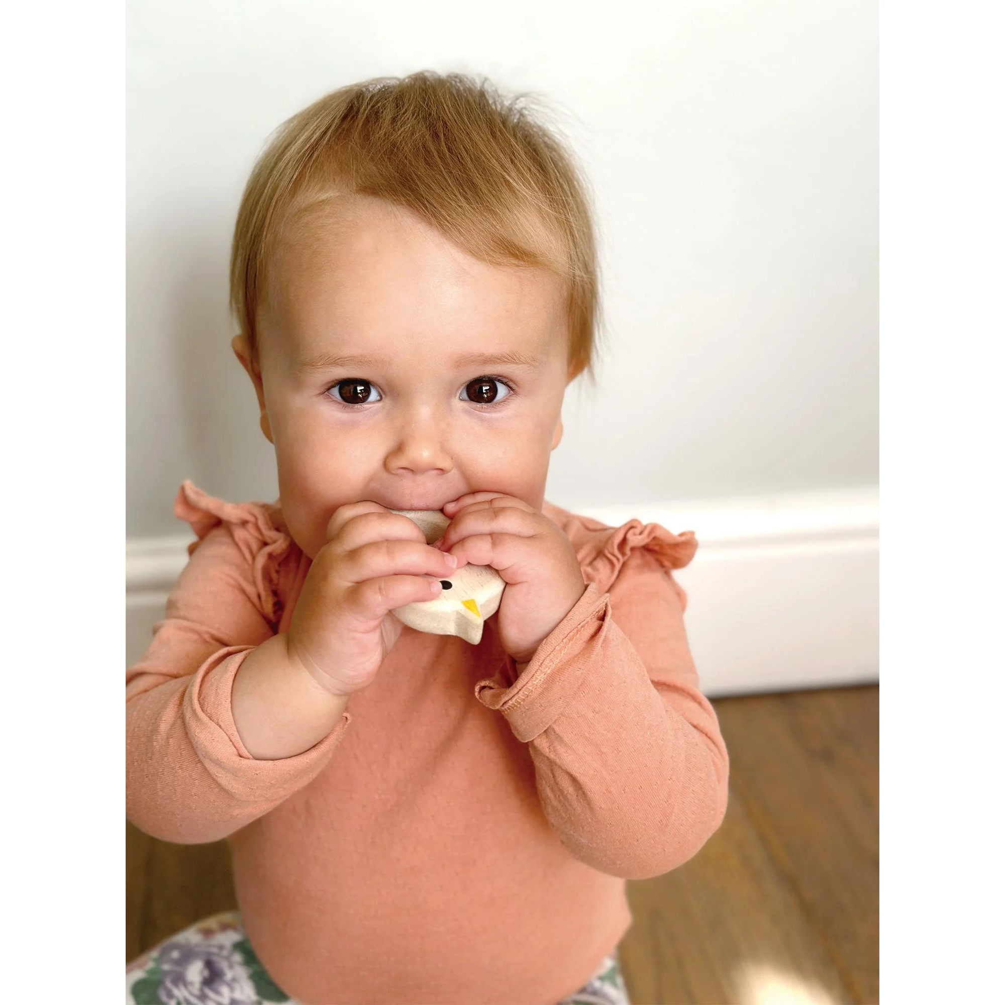 Anneau de dentition MENTARI pour oiseaux et chatons