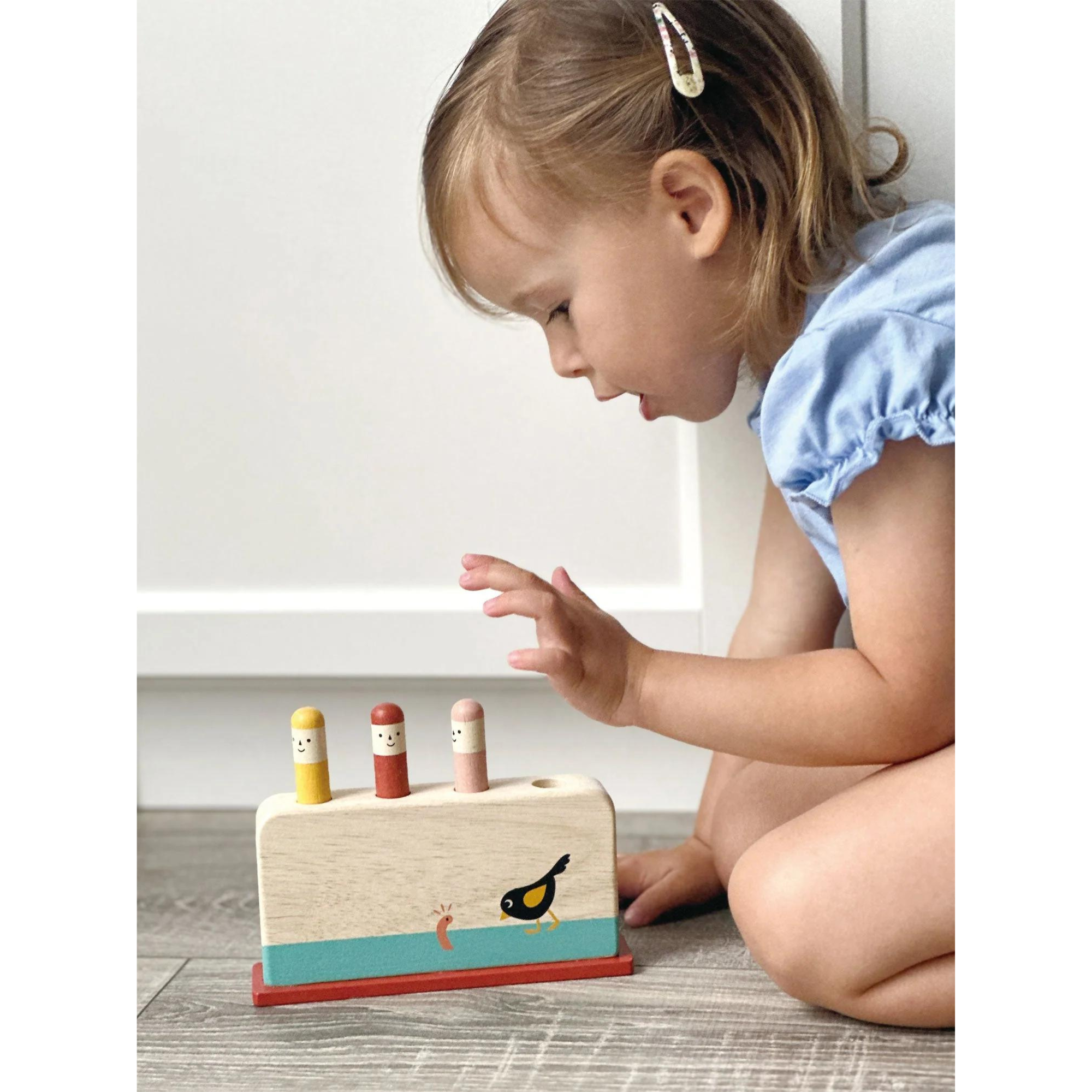 MENTARI Early Bird Pop Up