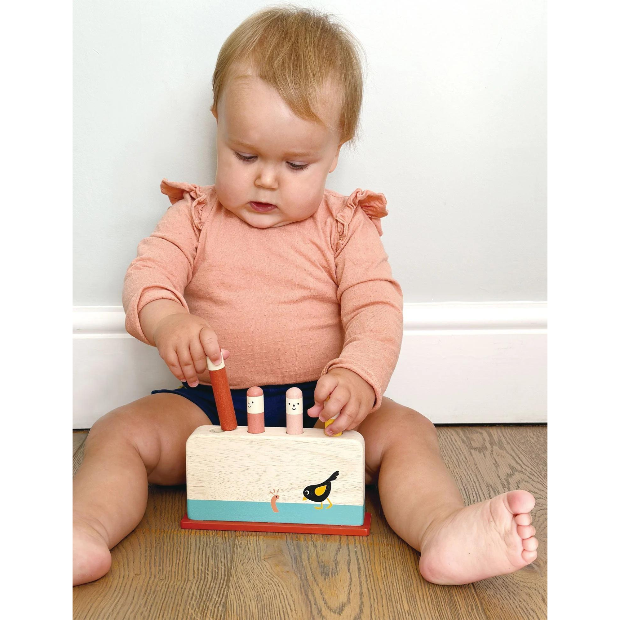 MENTARI Early Bird Pop Up