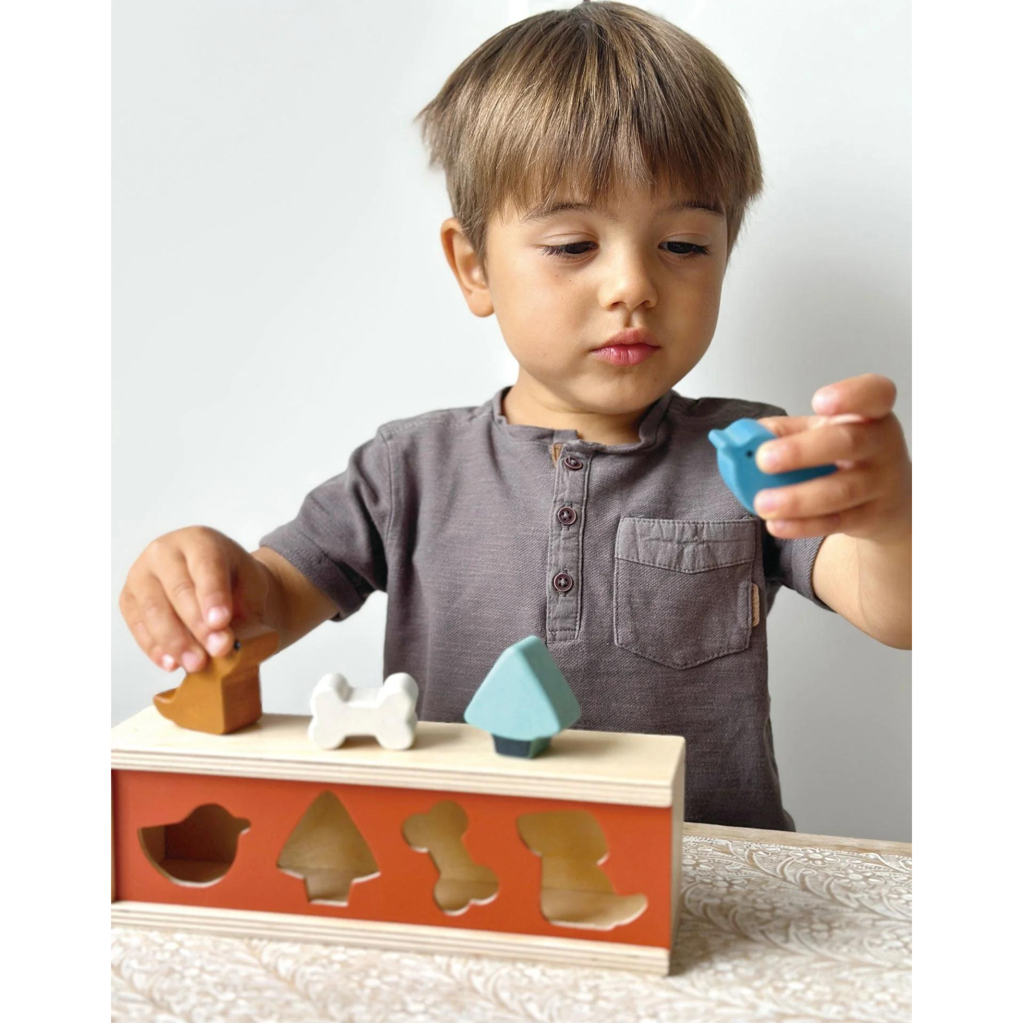 Boîte de tri de formes d'animaux de compagnie MENTARI