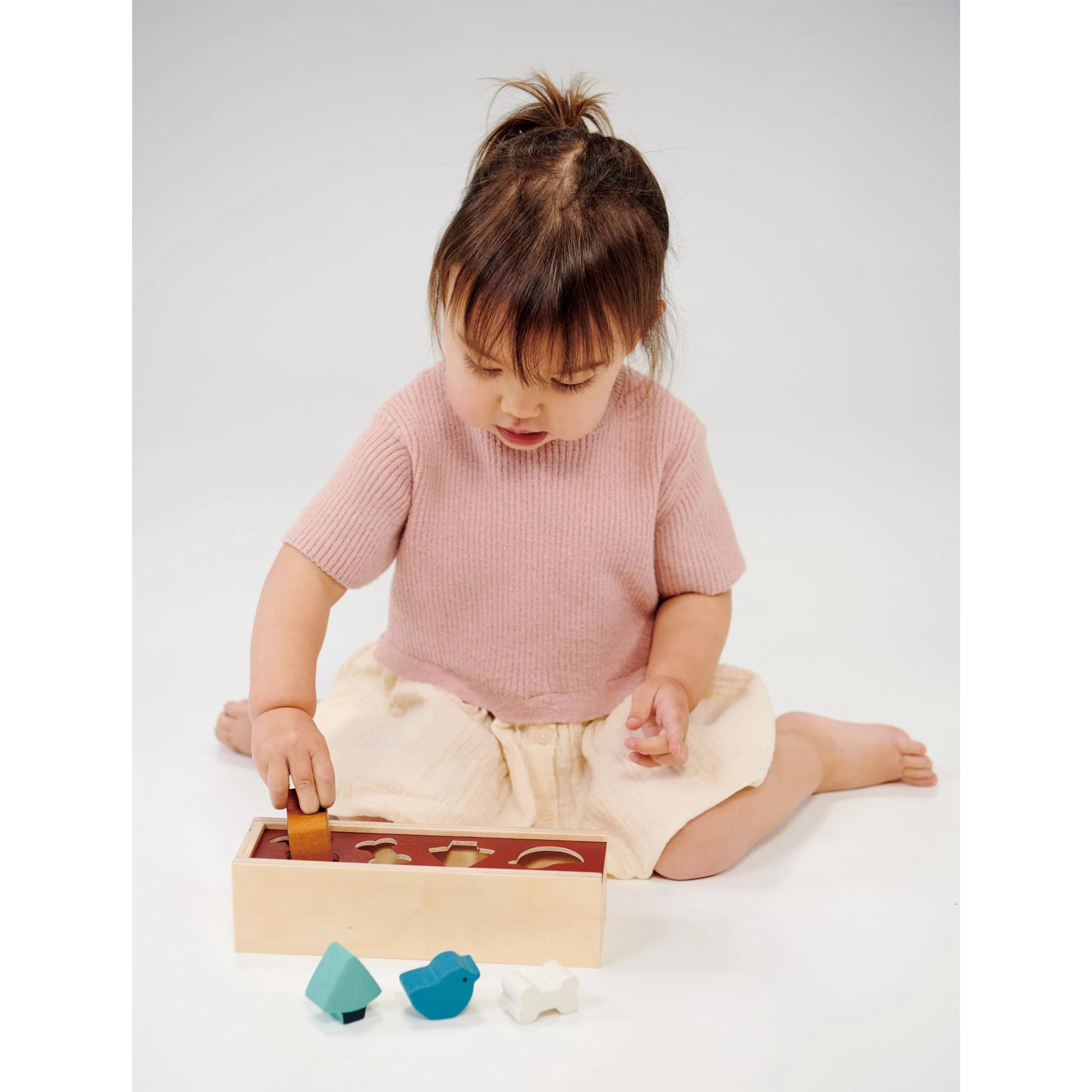 Boîte de tri de formes d'animaux de compagnie MENTARI